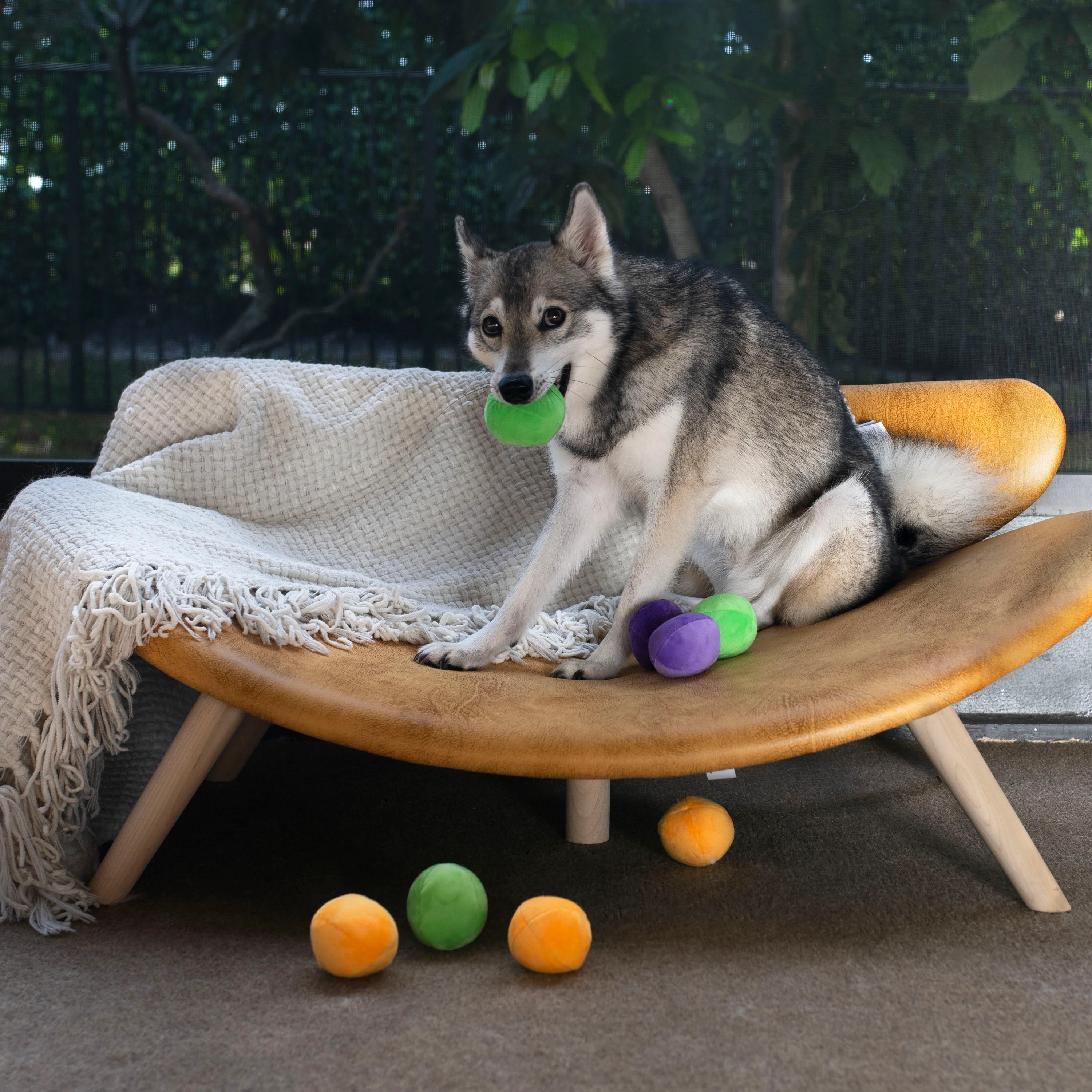 Midlee Squeaky and Crinkley Plush Dog Balls (Refill for Midlee Hide a Ball)