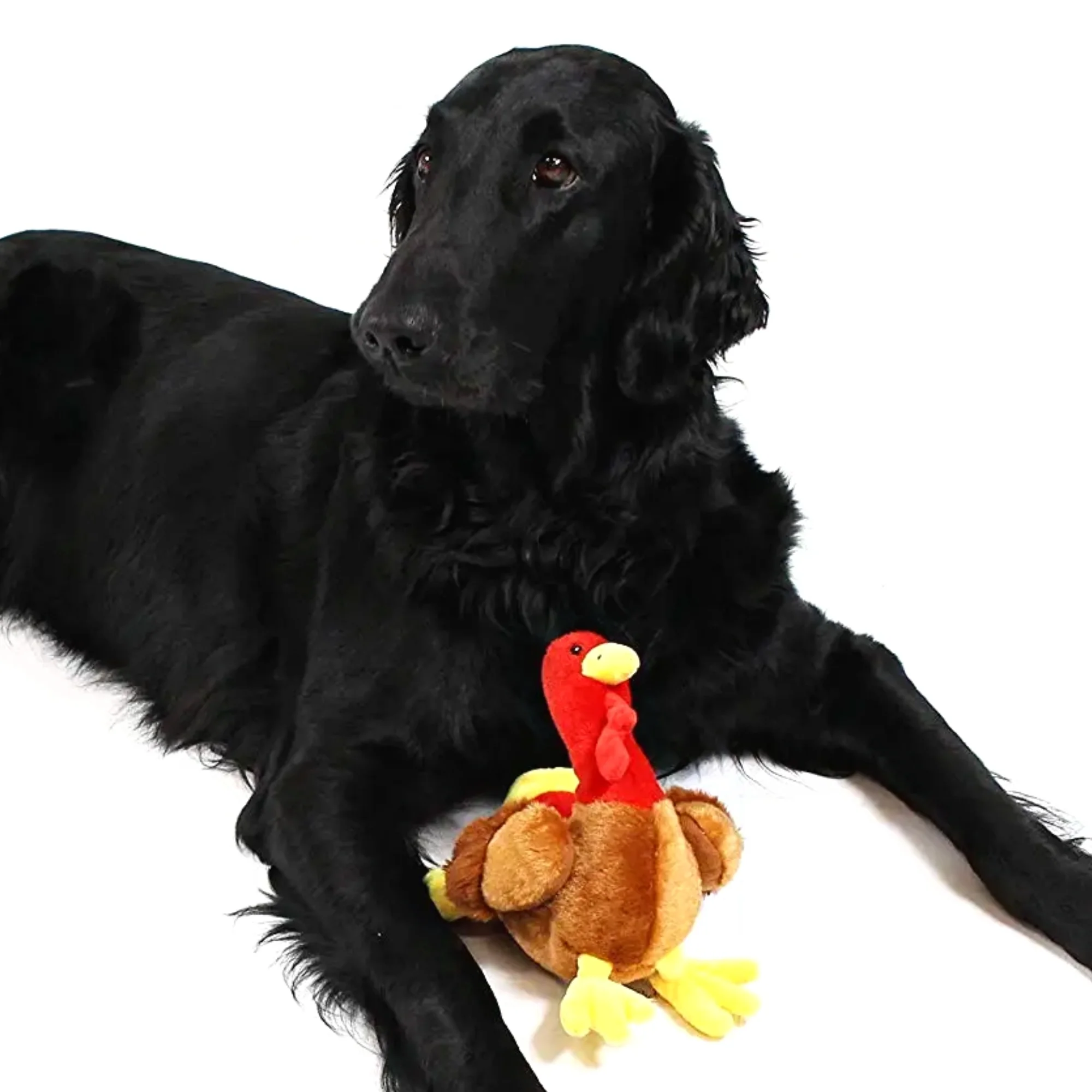 Midlee Thanksgiving Turkey Dog Toy- Large Stuffed Squeaky Pet Toy