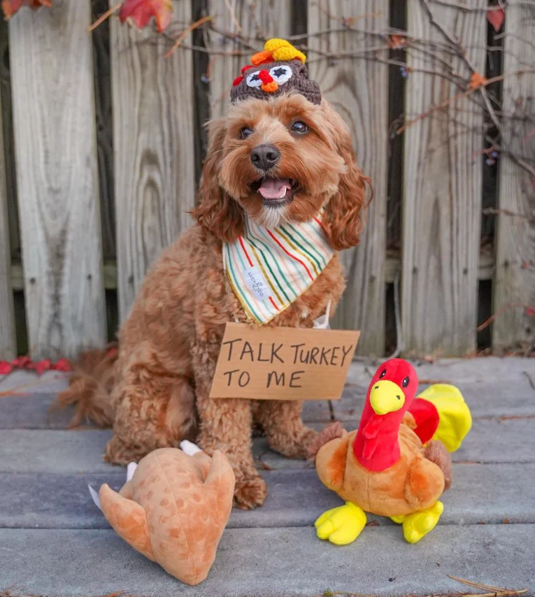 Midlee Roasted Thanksgiving Turkey Plush Dog Toy