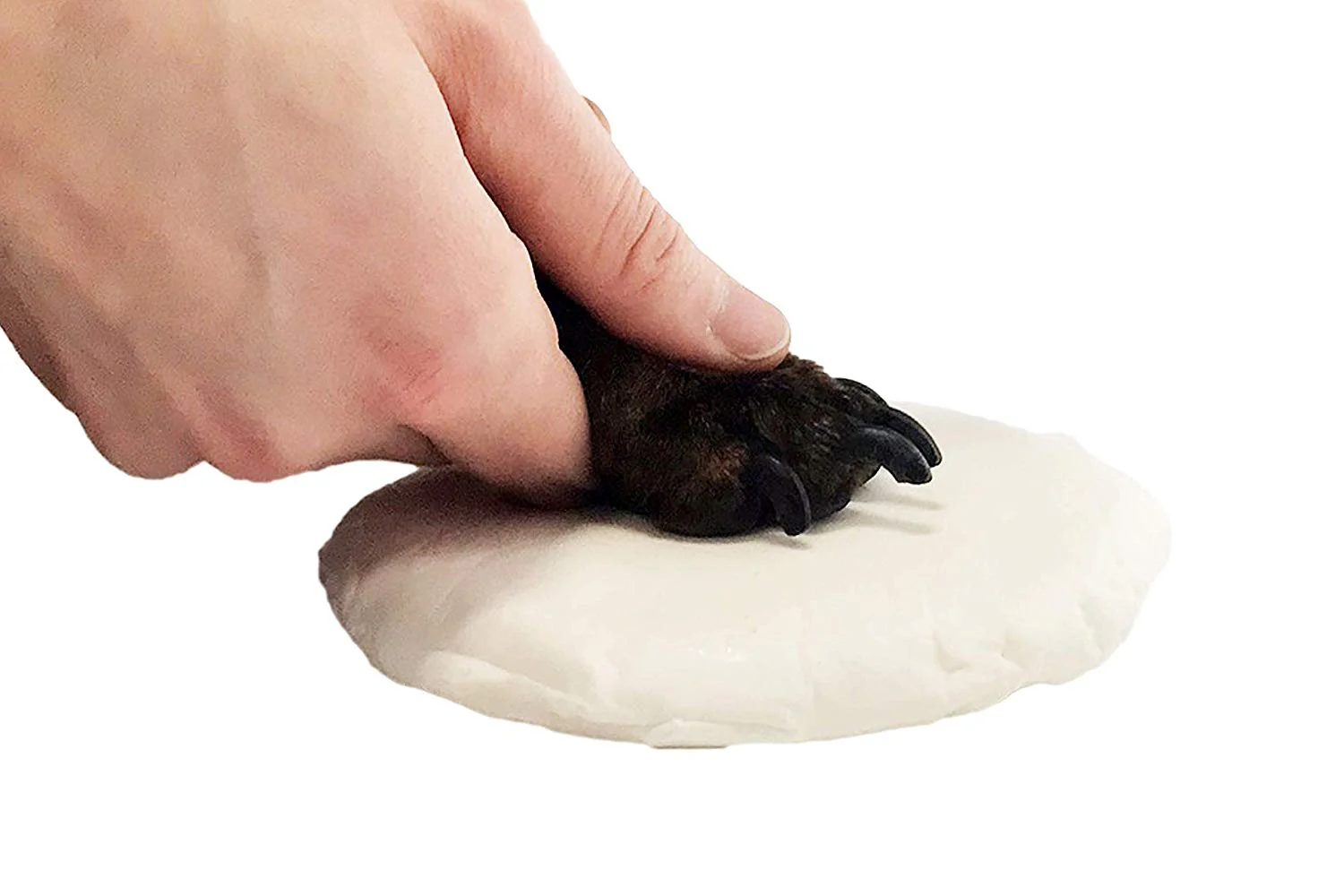 Midlee Black 4 Photo Paw Print Frame