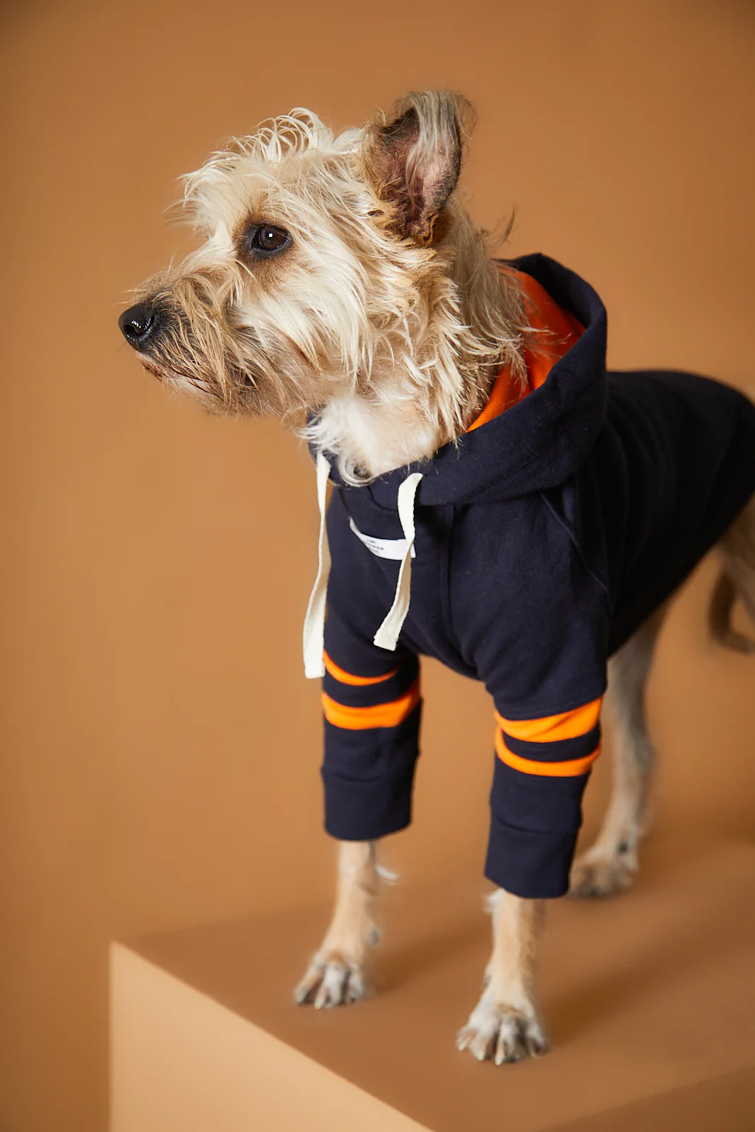 Dark Blue Hoodie BRIE