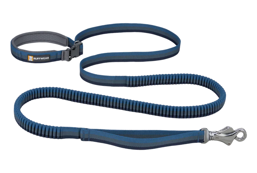 Roamer Leash