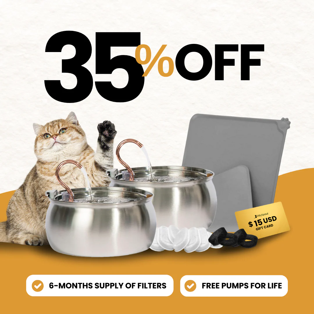 Big Cat Family Bundle