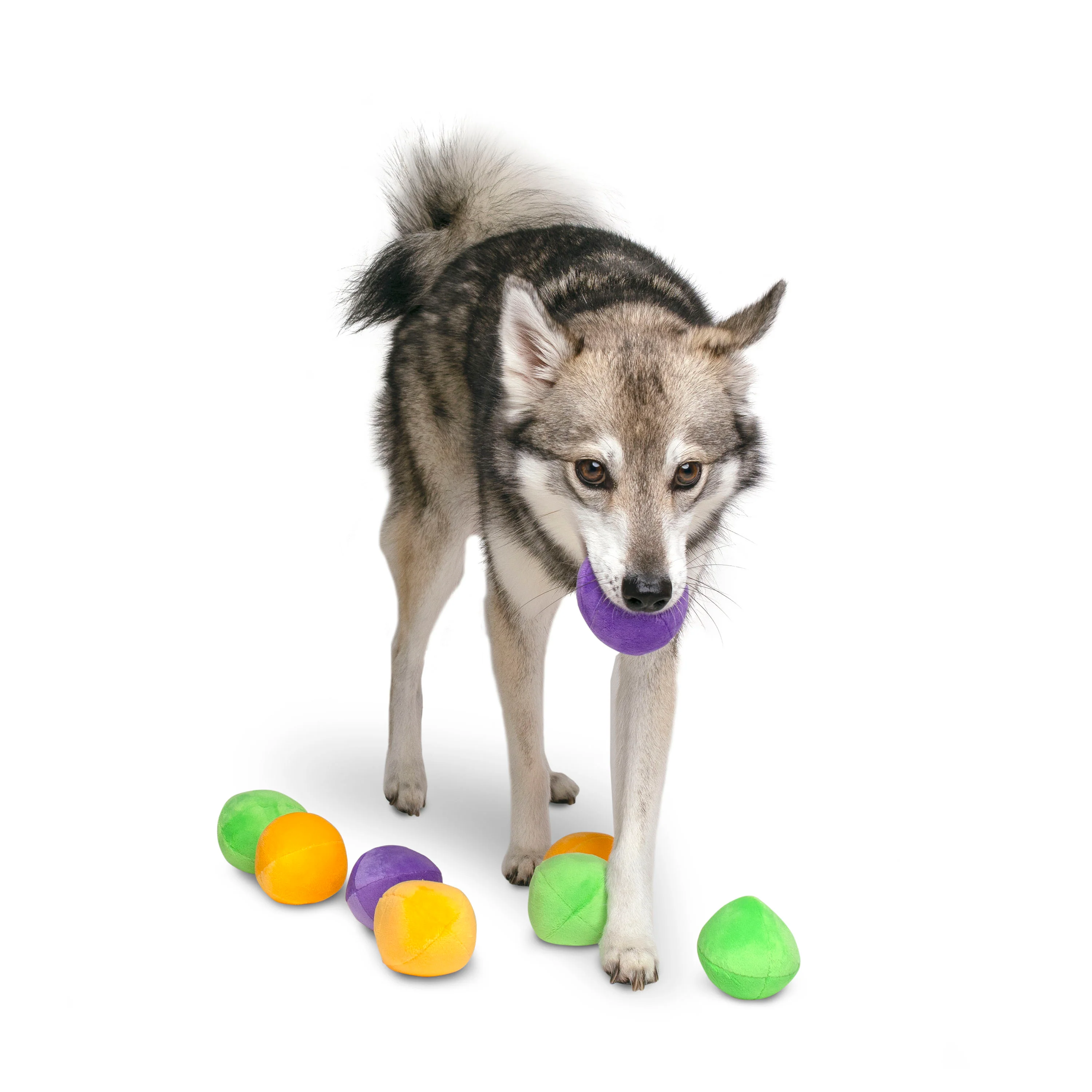 Midlee Squeaky and Crinkley Plush Dog Balls (Refill for Midlee Hide a Ball)