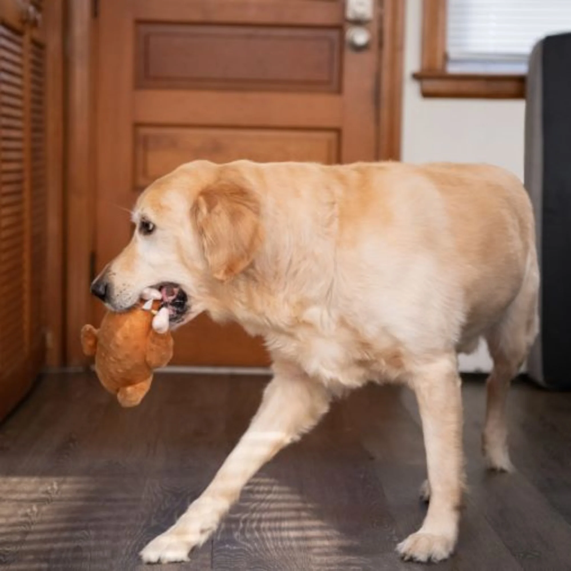 Midlee Roasted Thanksgiving Turkey Plush Dog Toy