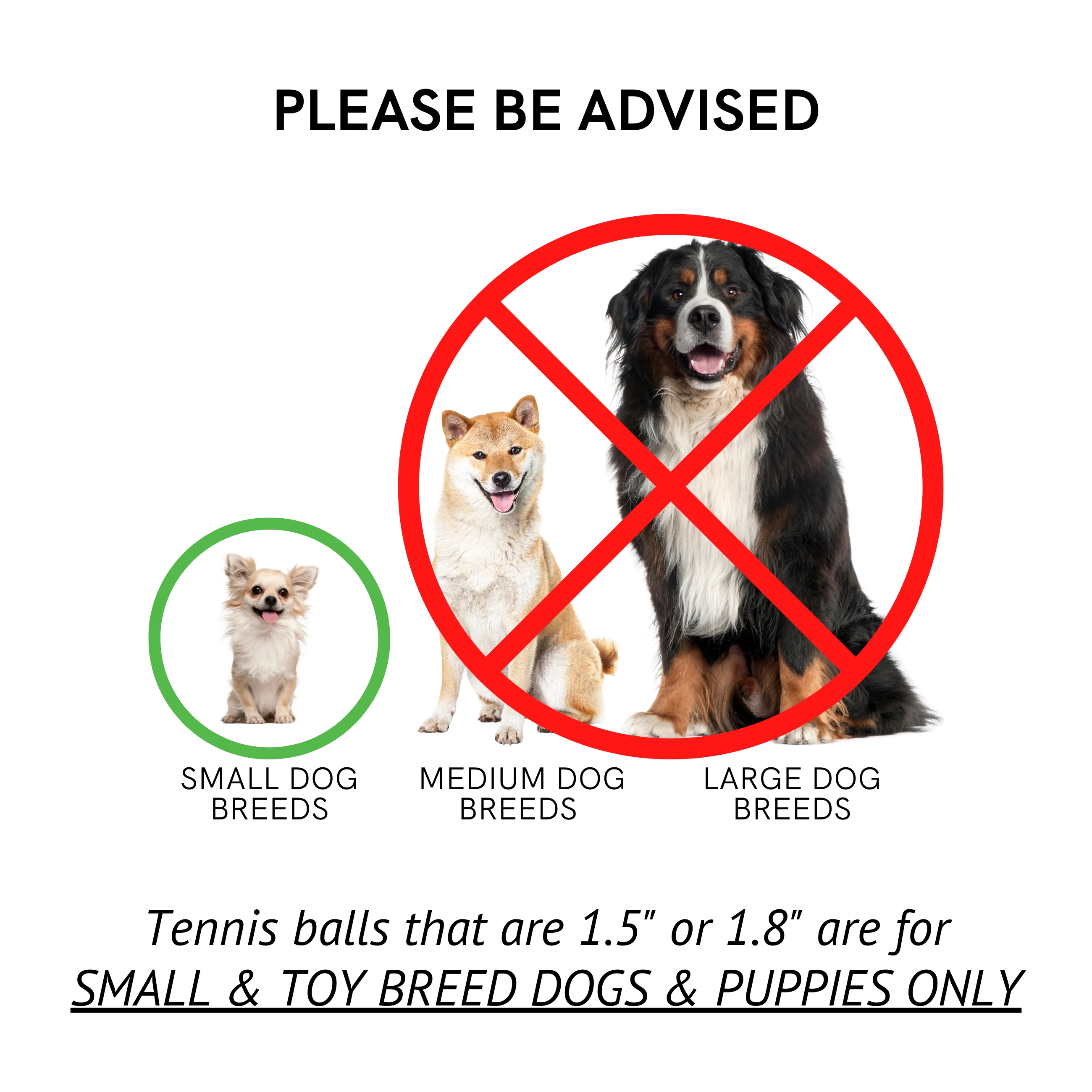 Midlee MINI Dog Tennis Balls, Red, 1.5 12-Pack- Fetch Ball Laucher Pet Small Tennis Balls