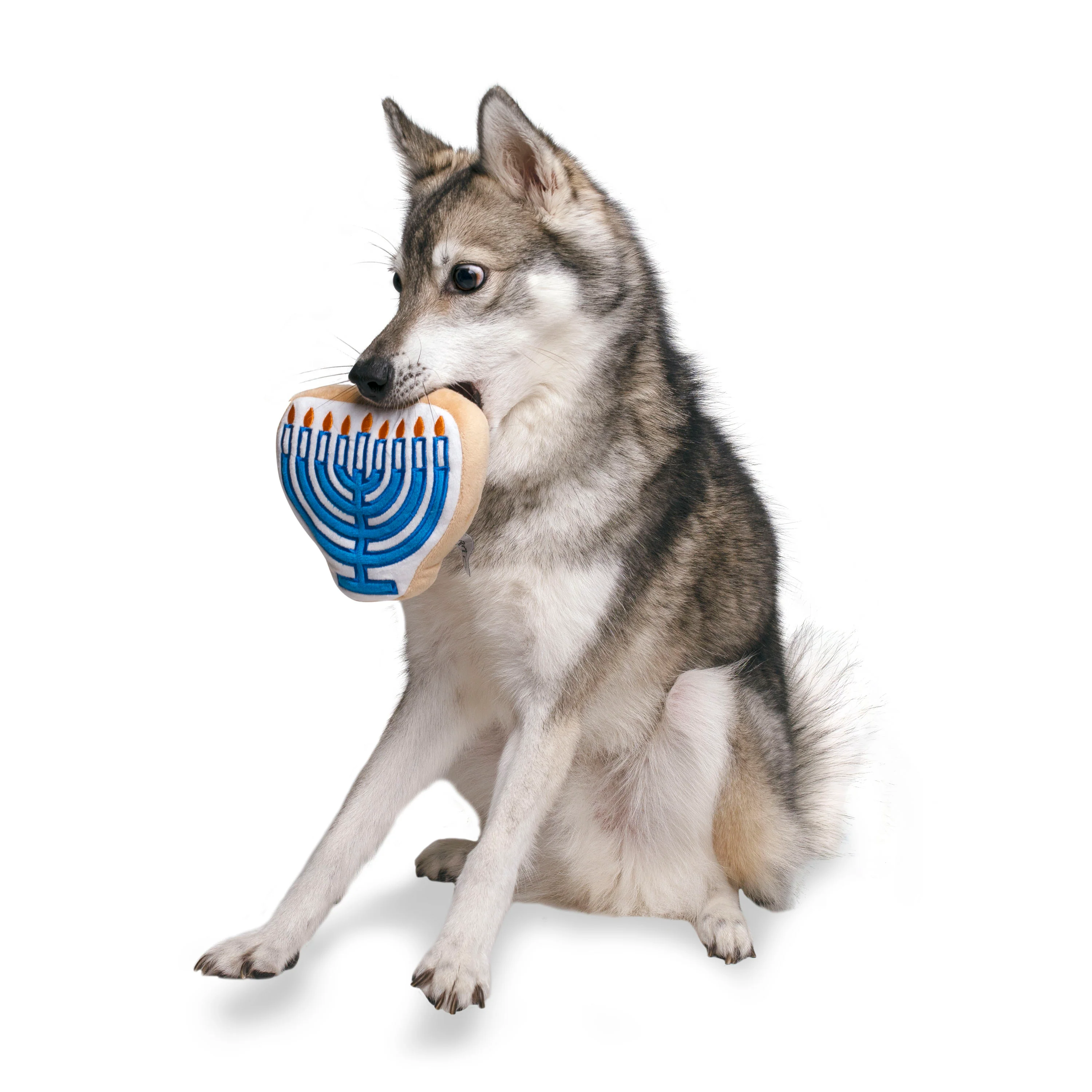 Midlee Menorah Sugar Cookie Dog Toy