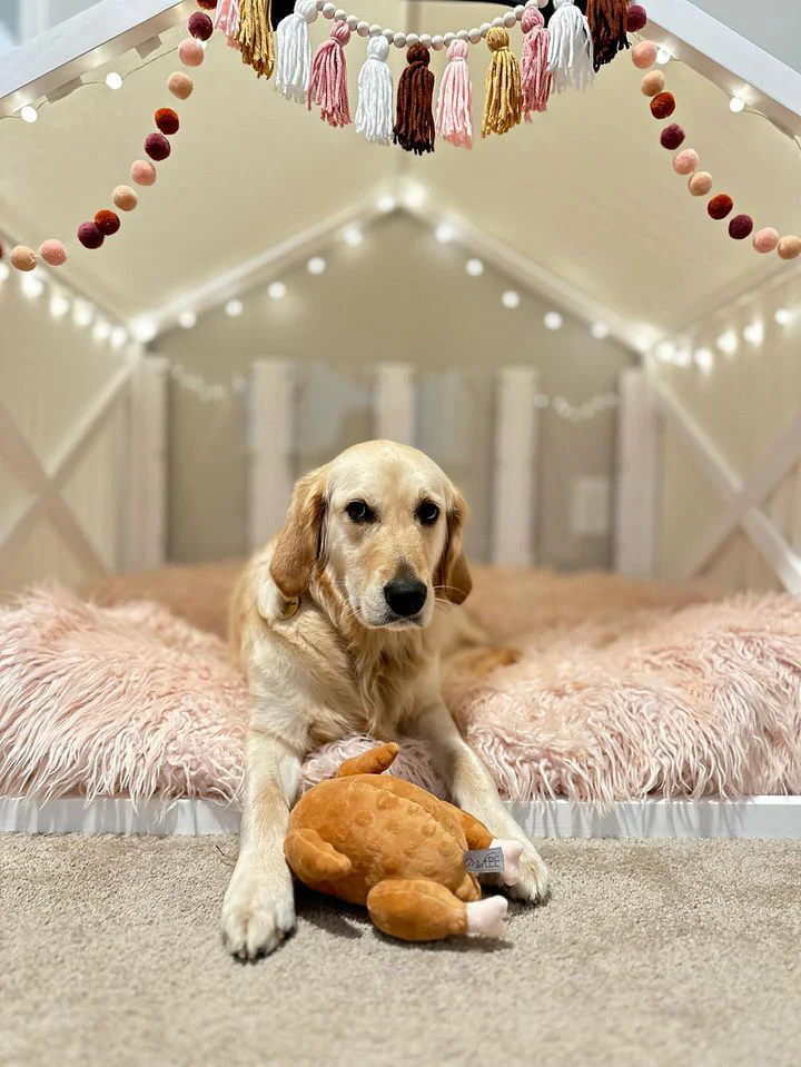 Midlee Roasted Thanksgiving Turkey Plush Dog Toy