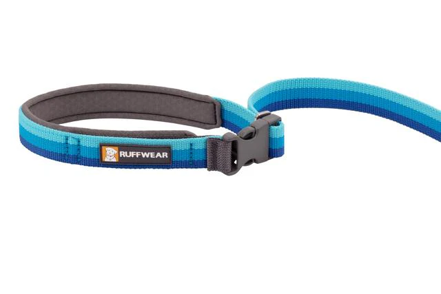Roamer Leash