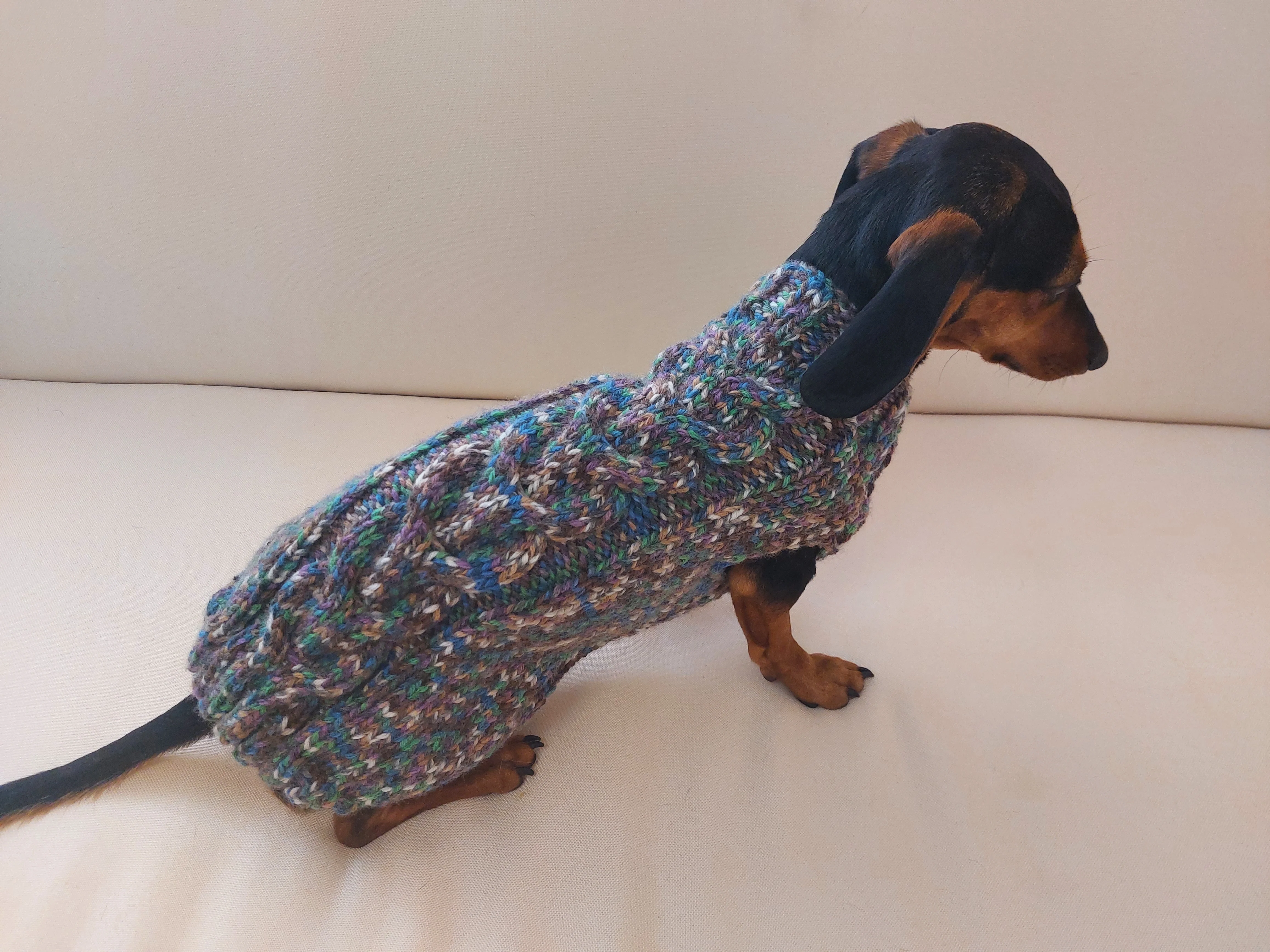 Wool dog jumper,dachshund cloches wool sweater
