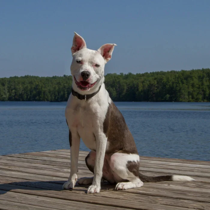 ECO by Lupine 3/4” Collars