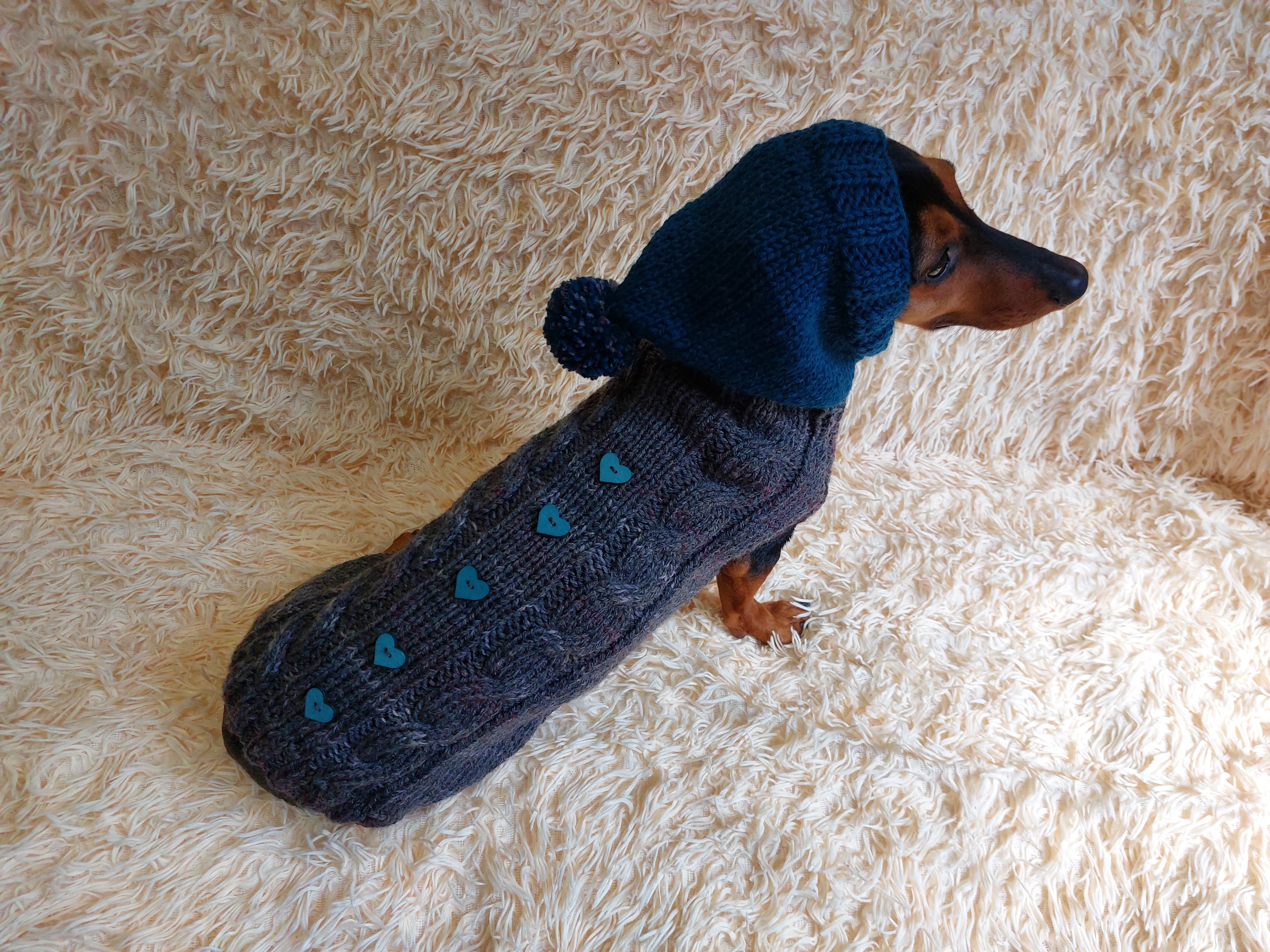 Pet clothes hoodie with hearts,Knitted hoodie for dog, hoodie for miniature dachshund