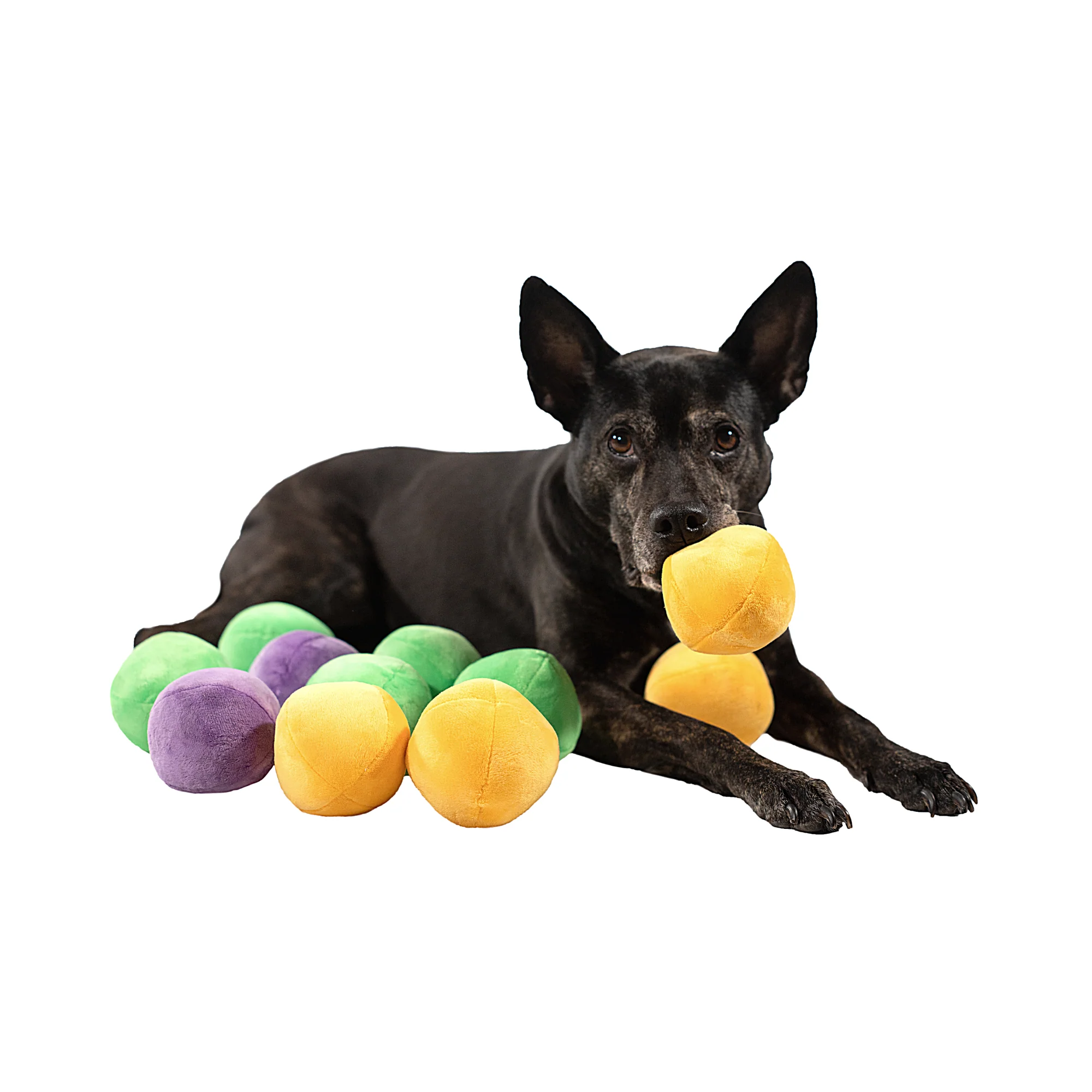 Midlee Squeaky and Crinkley Plush Dog Balls (Refill for Midlee Hide a Ball)