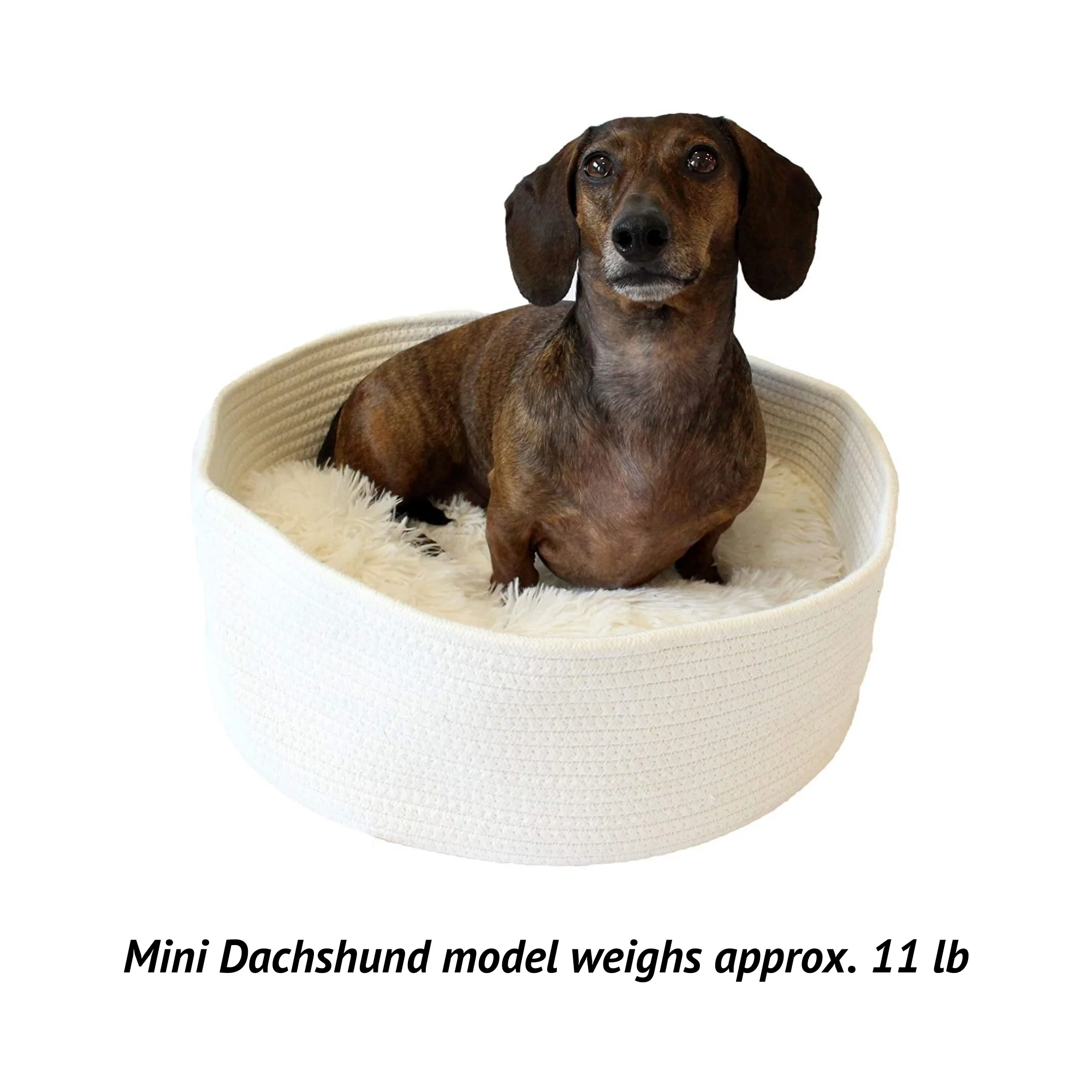 Midlee Round Rope Cat or Small Dog Bed with Pillow Insert