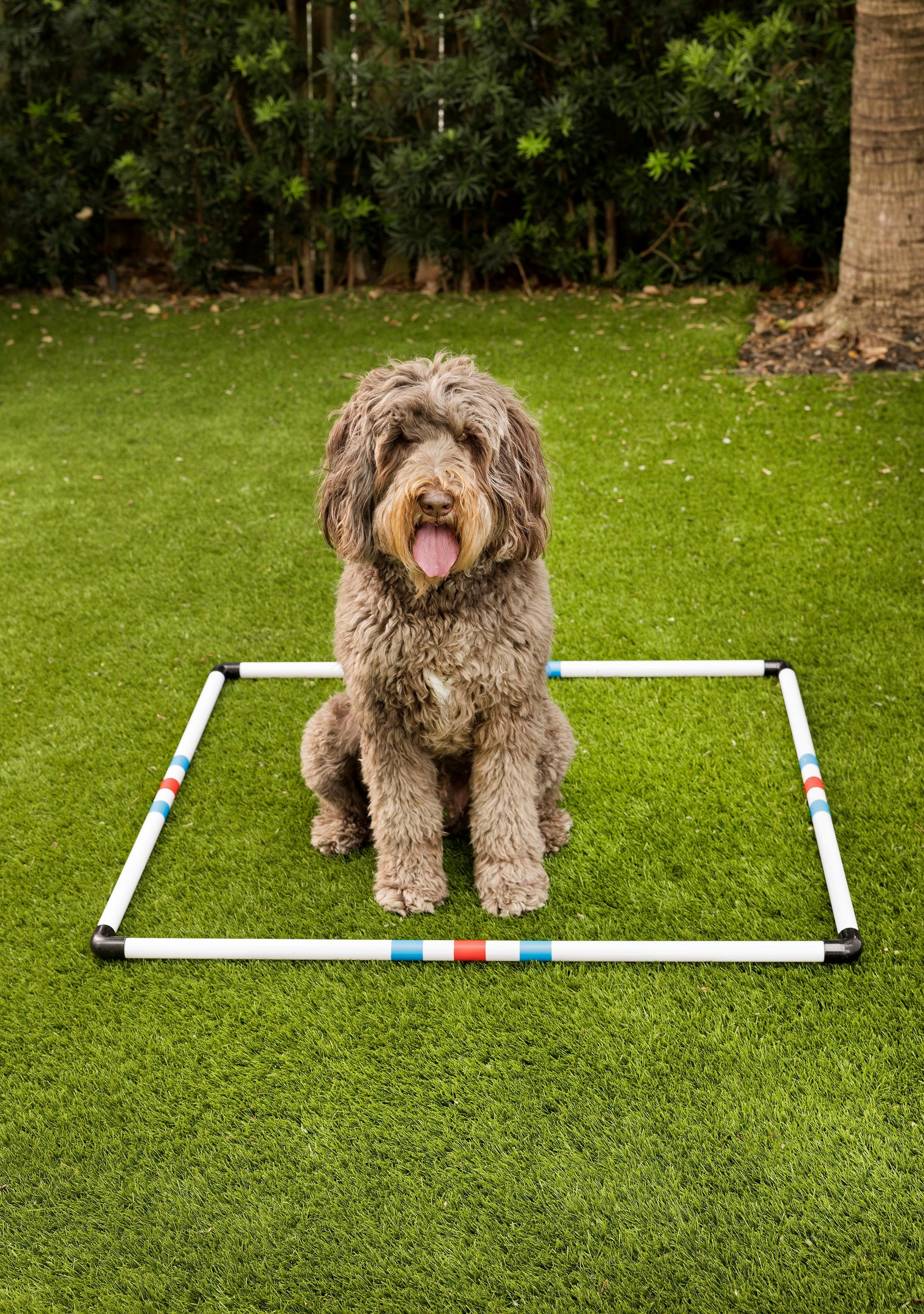 Midlee Dog Agility Pause Box