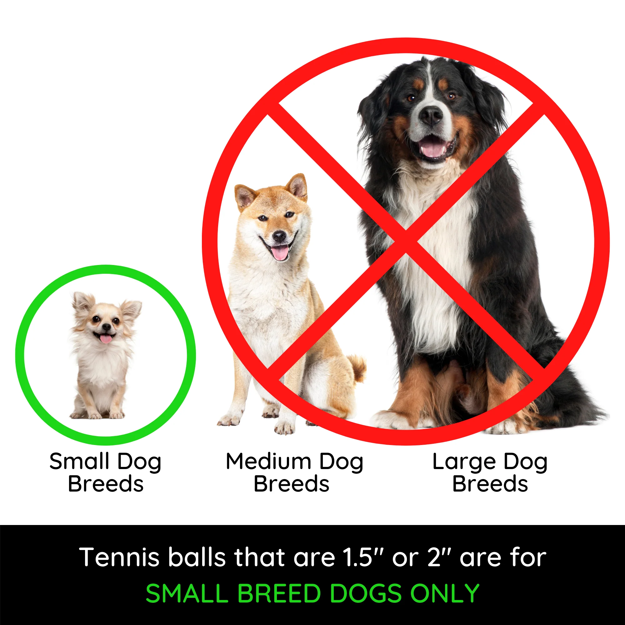 Midlee 2 Yellow/Orange Small Dog Tennis Balls (12-Pack)