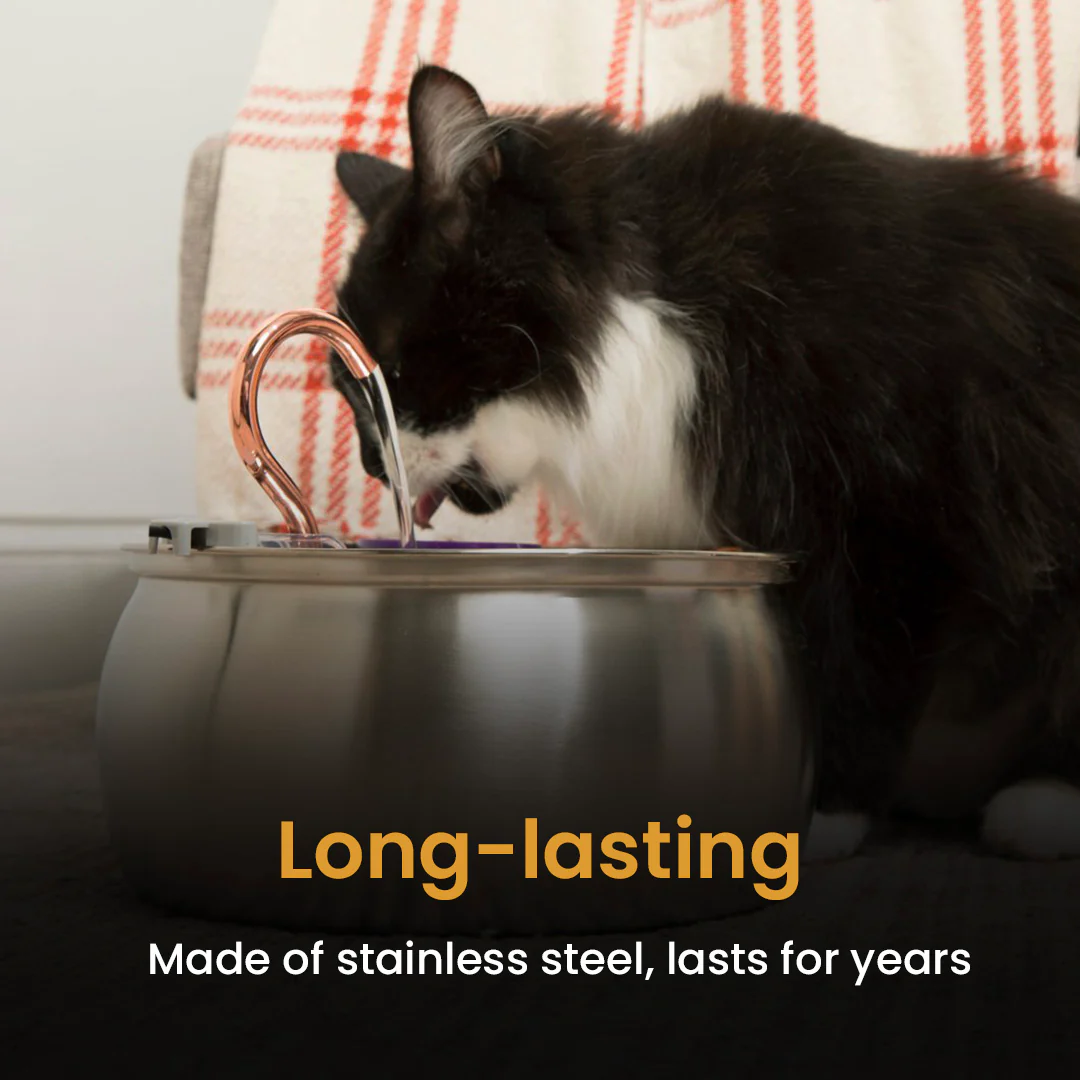 Hydration & Health Bundle