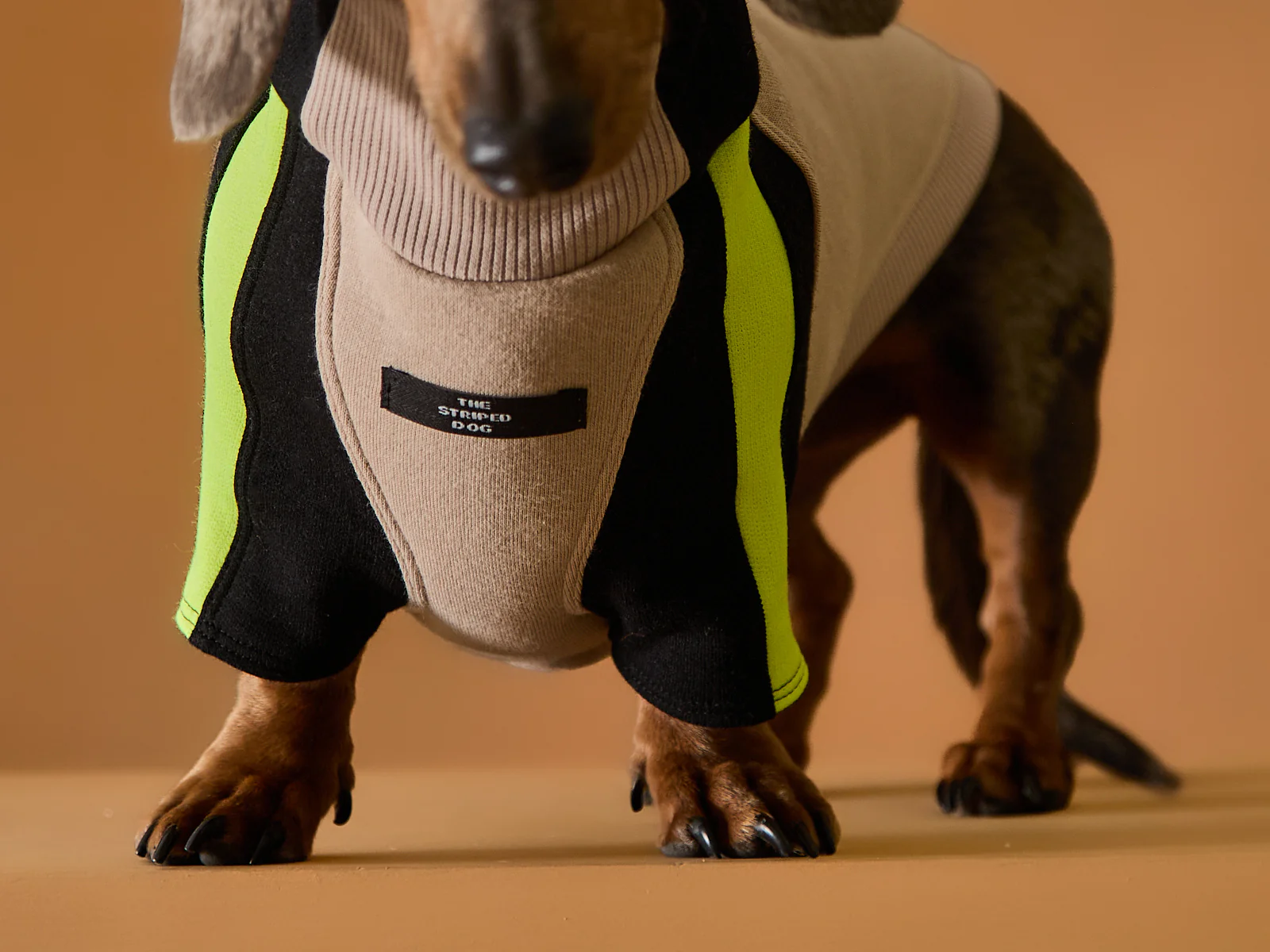 Dachshund Turtleneck Sweater BELLE