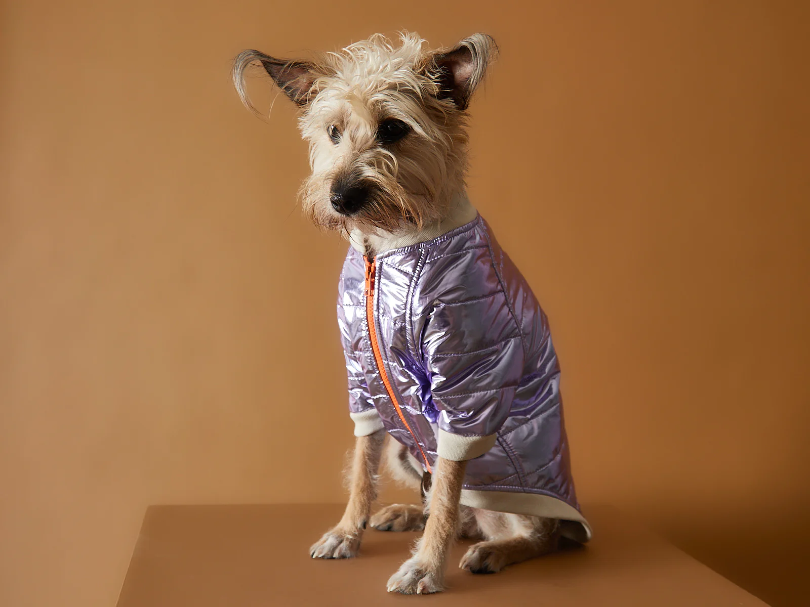 Metallic Lilac Bomber Jacket with Zipper OPERA