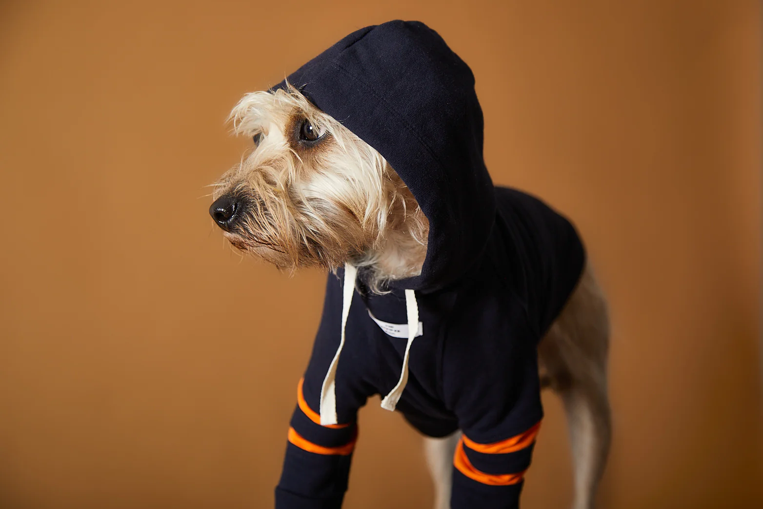 Dark Blue Hoodie BRIE