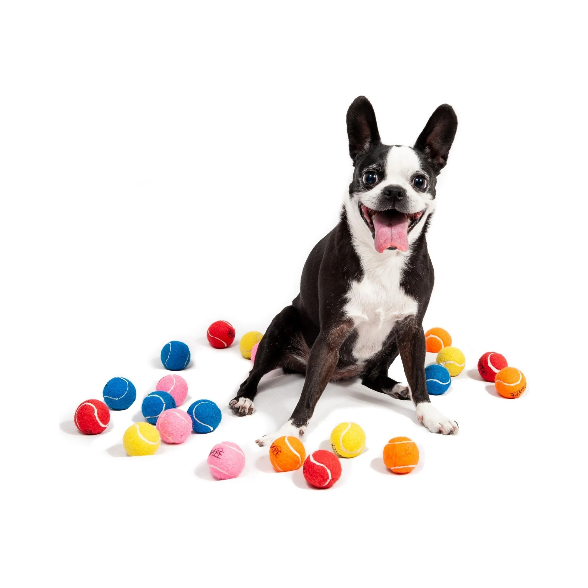 Midlee 1.5 Mini Dog Tennis Balls Bulk Set of 25 Assorted Colors