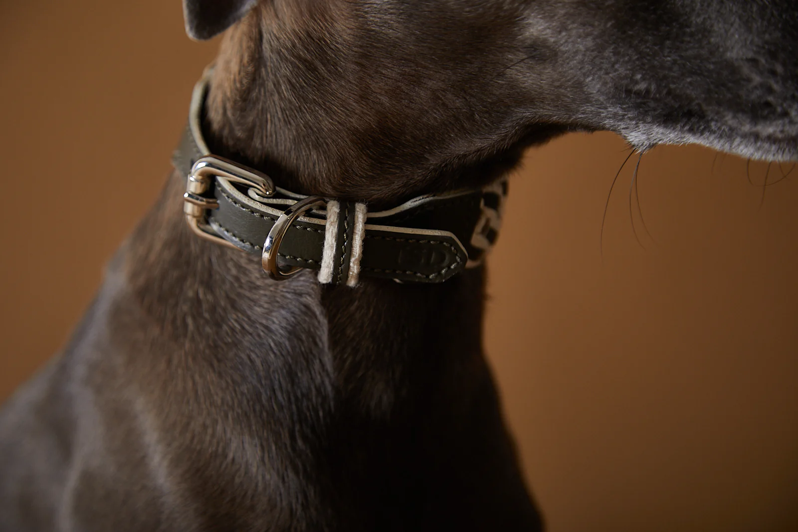 Leather Collar ÉTOILE