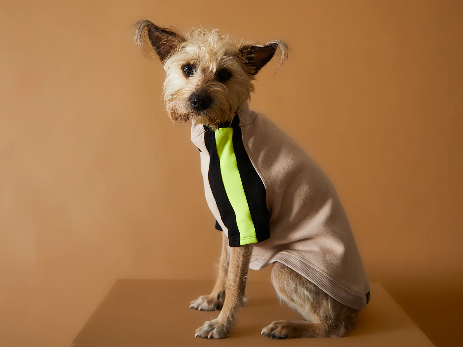 Turtleneck Sweater BELLE