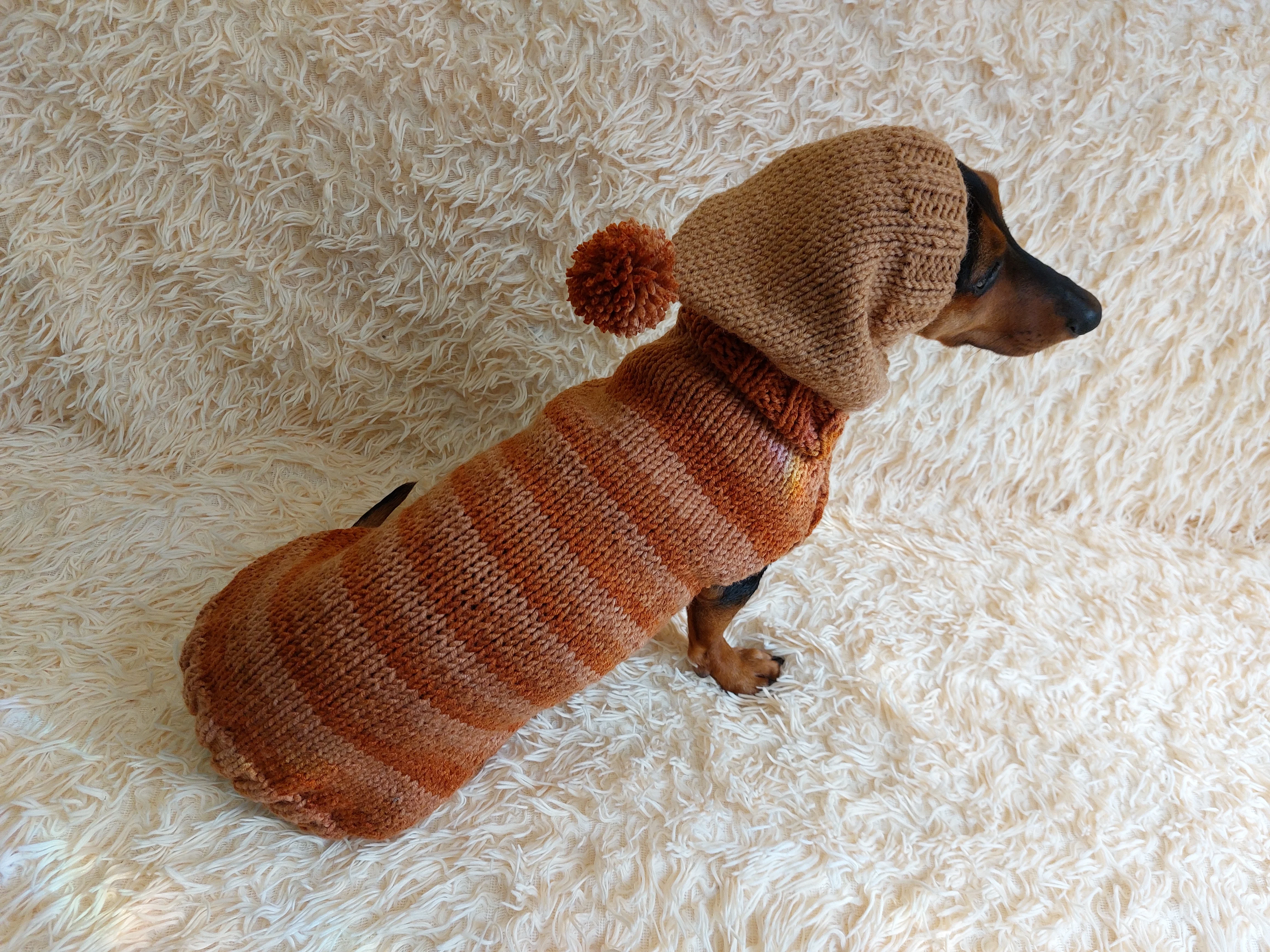 Warm Wool Stylish Clothes Pet Coat, Dog Hoodie, Dachshund Hooded Sweaters, Clothing for dachshund or small dog with sweater with hoodie