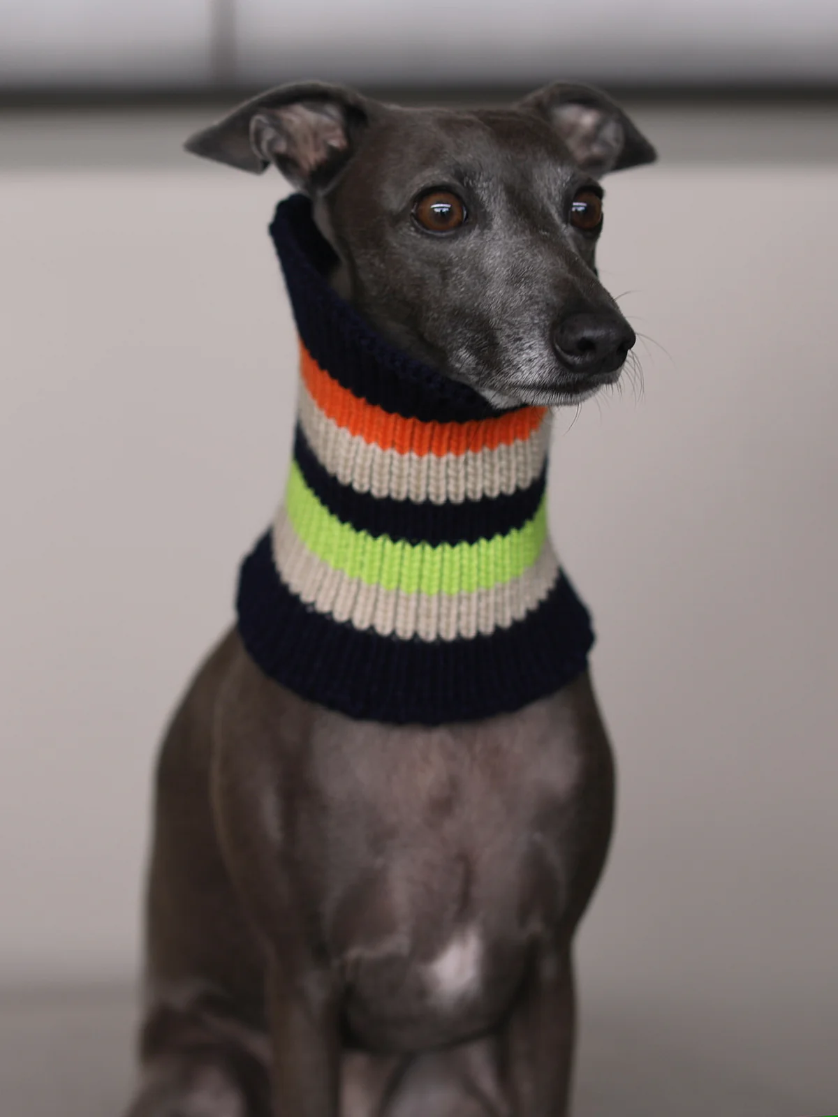 Dark Multicolored Striped Knit Scarf NICE