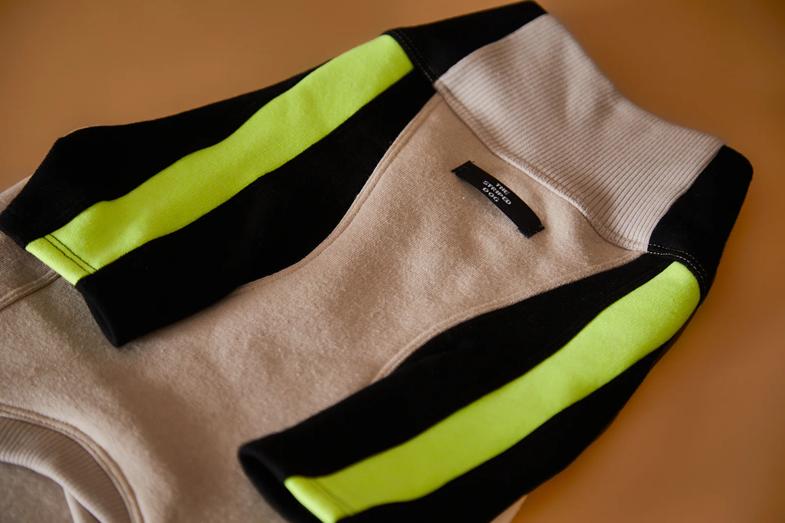 Dachshund Turtleneck Sweater BELLE