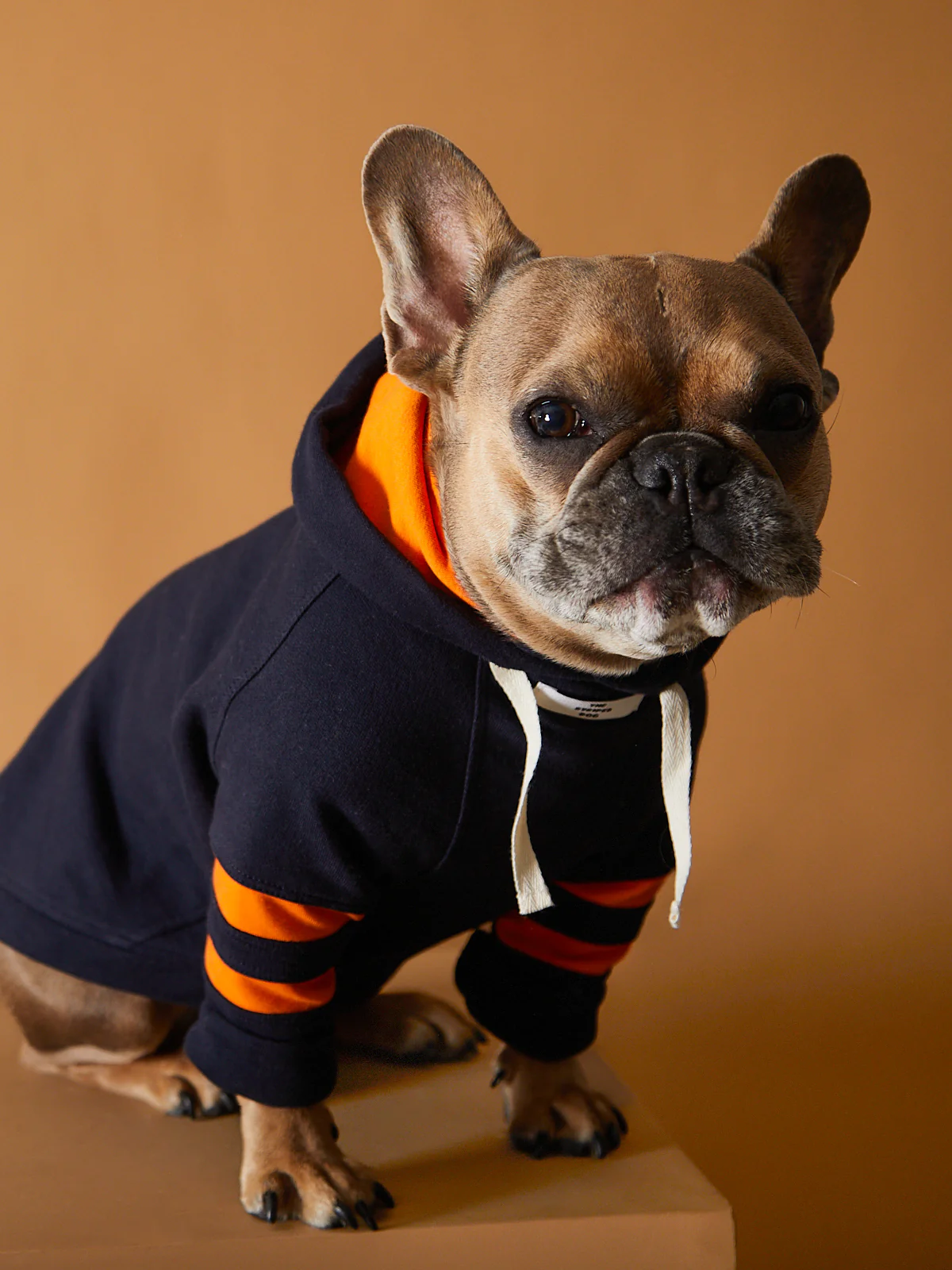 Dark Blue Hoodie BRIE