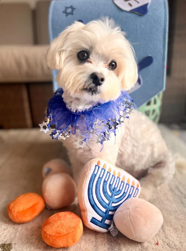 Midlee Menorah Sugar Cookie Dog Toy