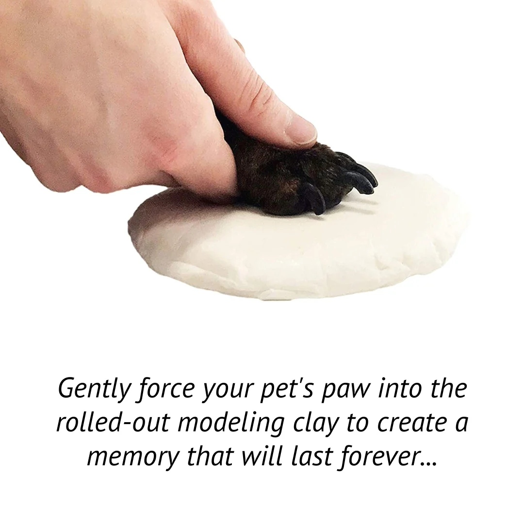 Midlee Black 4 Photo Paw Print Frame