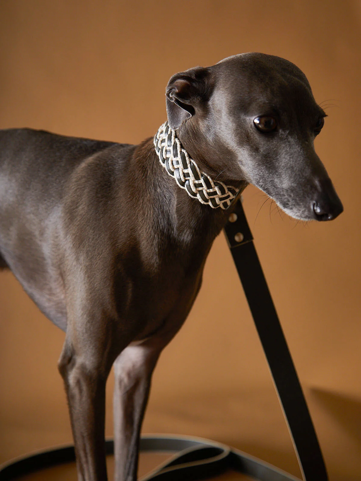 Leather Collar ÉTOILE