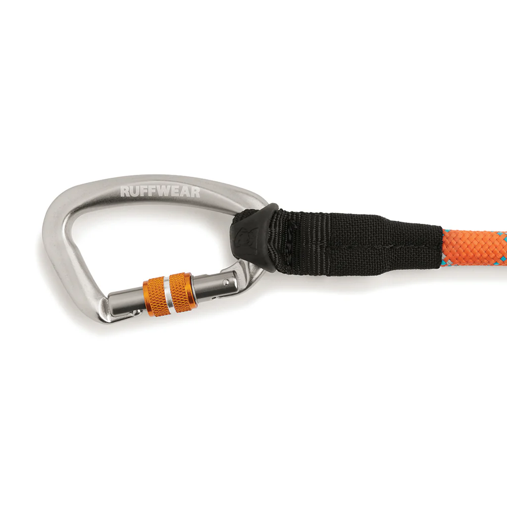 Just-a-Cinch Leash