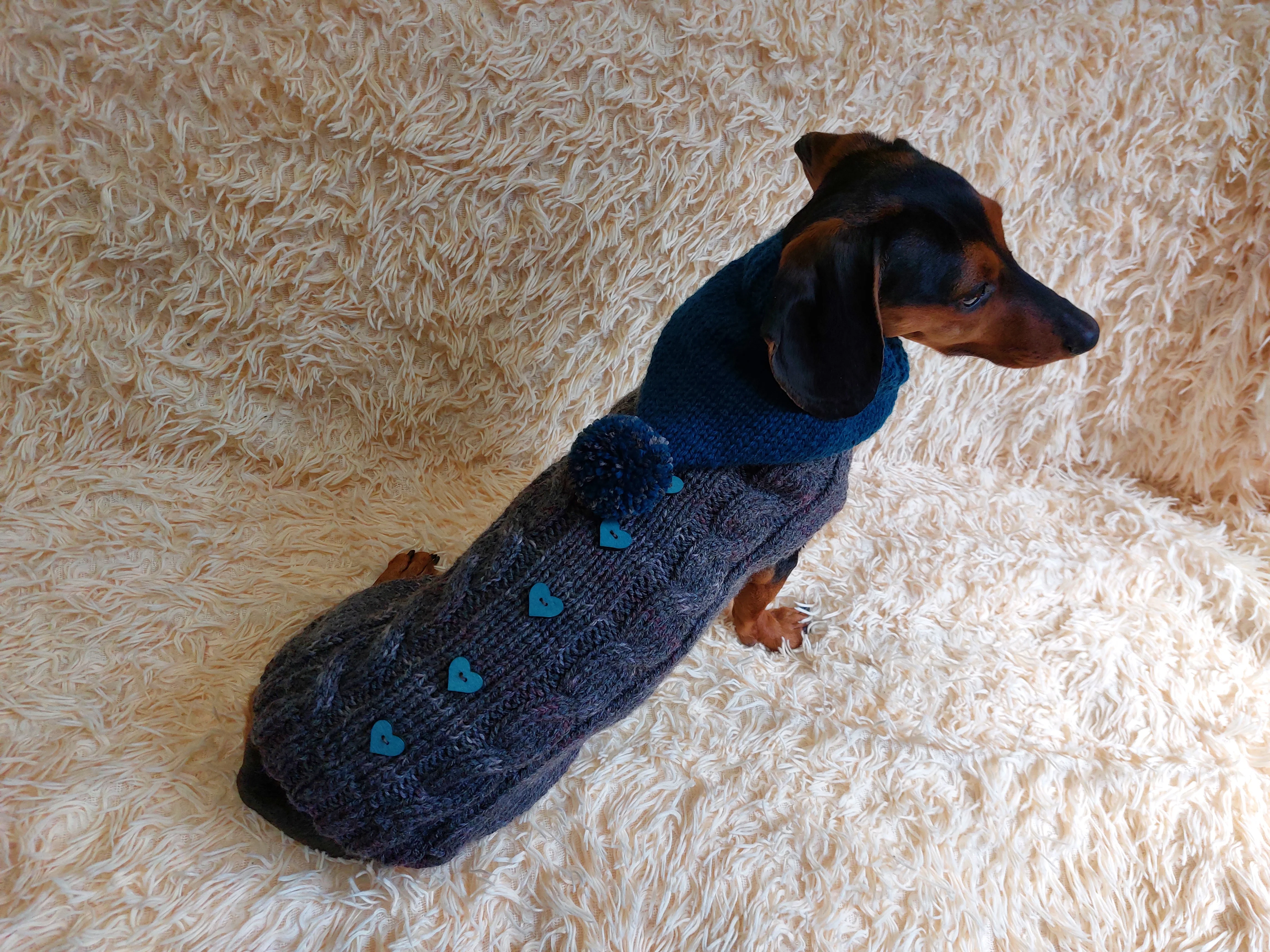 Pet clothes hoodie with hearts,Knitted hoodie for dog, hoodie for miniature dachshund
