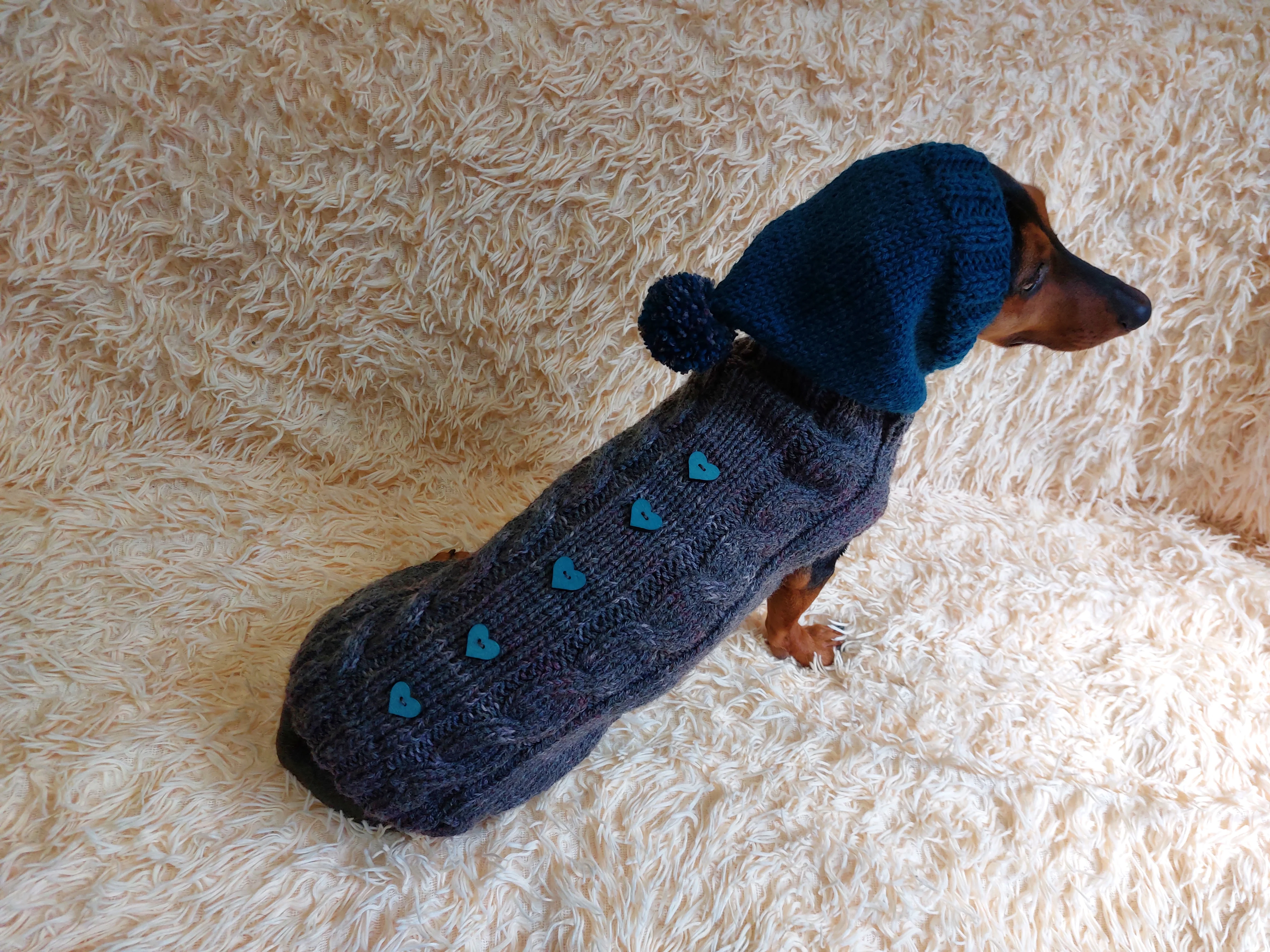 Pet clothes hoodie with hearts,Knitted hoodie for dog, hoodie for miniature dachshund