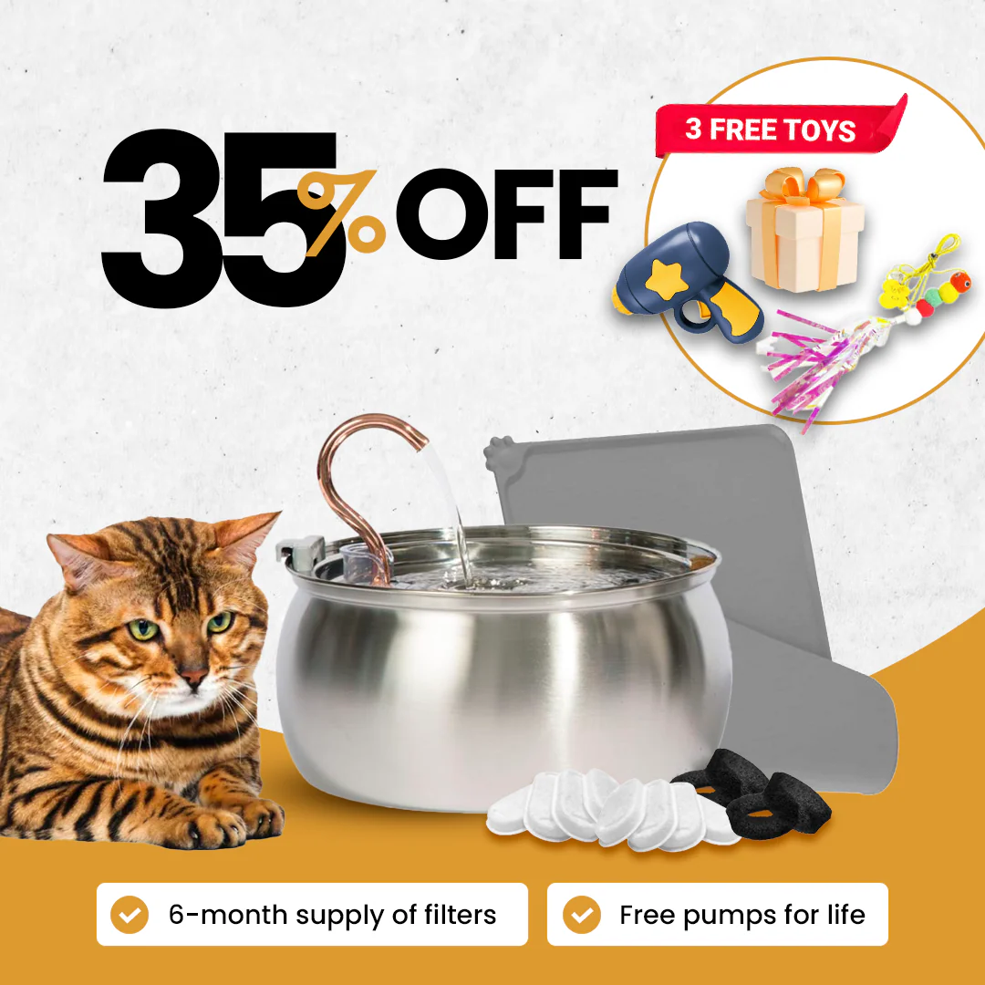 The Purrr-fect KittySpout Kit