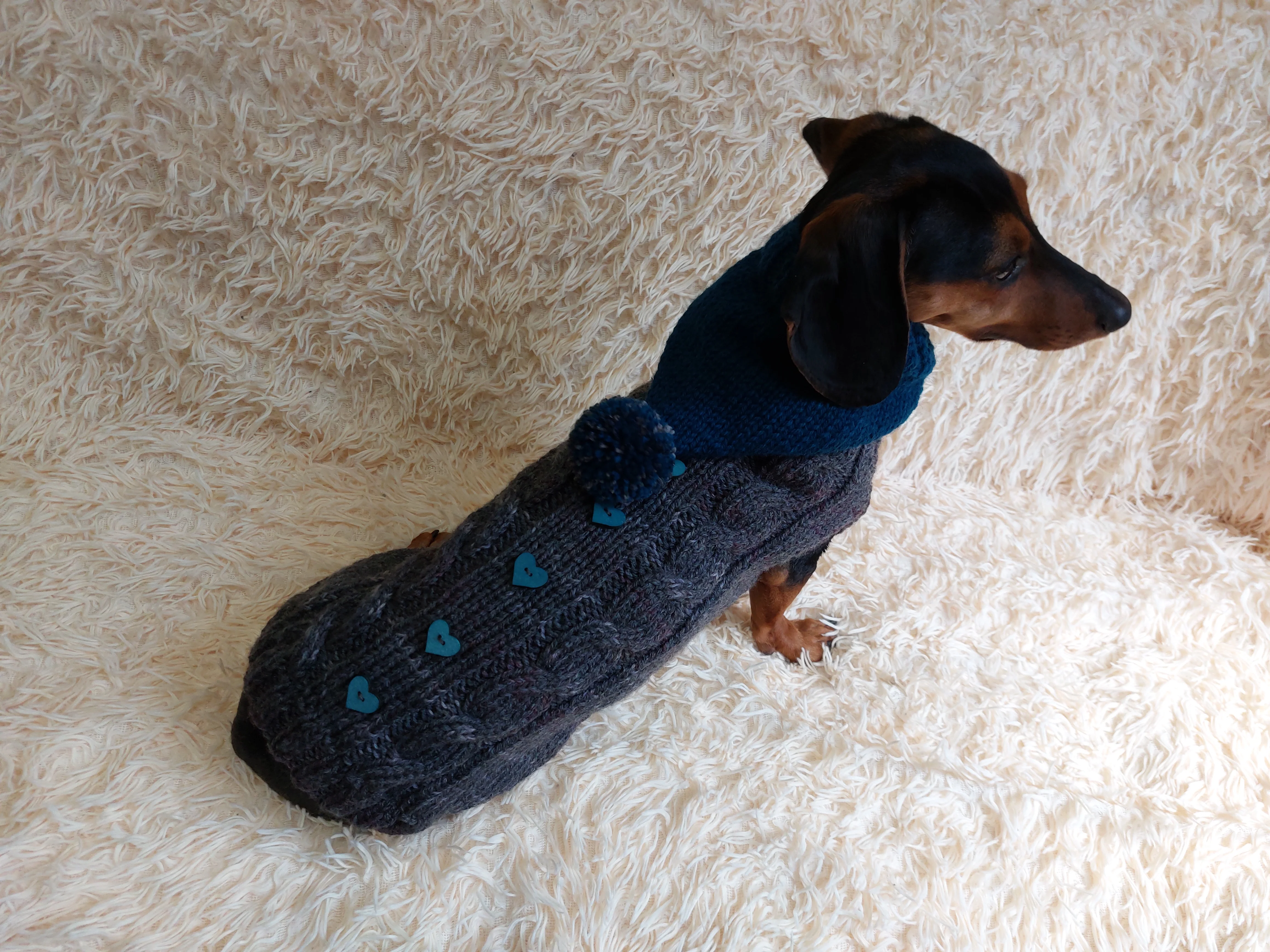Pet clothes hoodie with hearts,Knitted hoodie for dog, hoodie for miniature dachshund