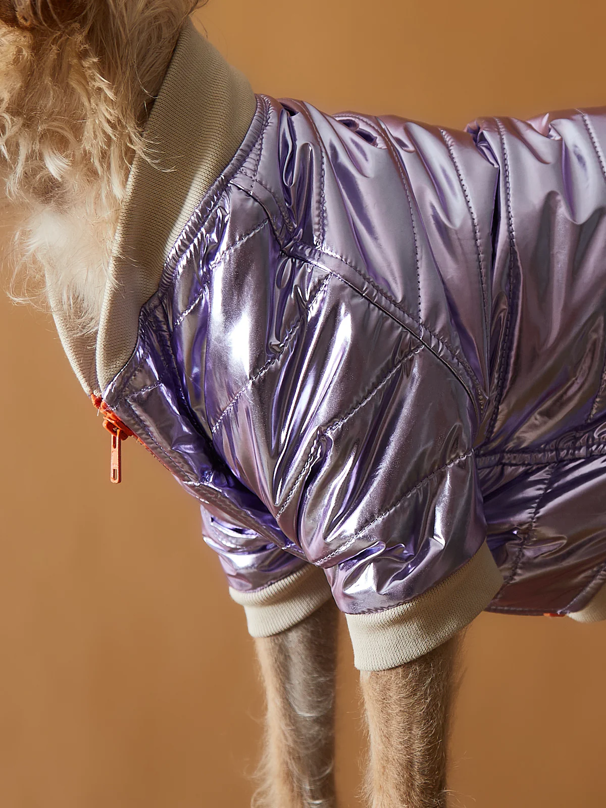 Metallic Lilac Bomber Jacket with Zipper OPERA