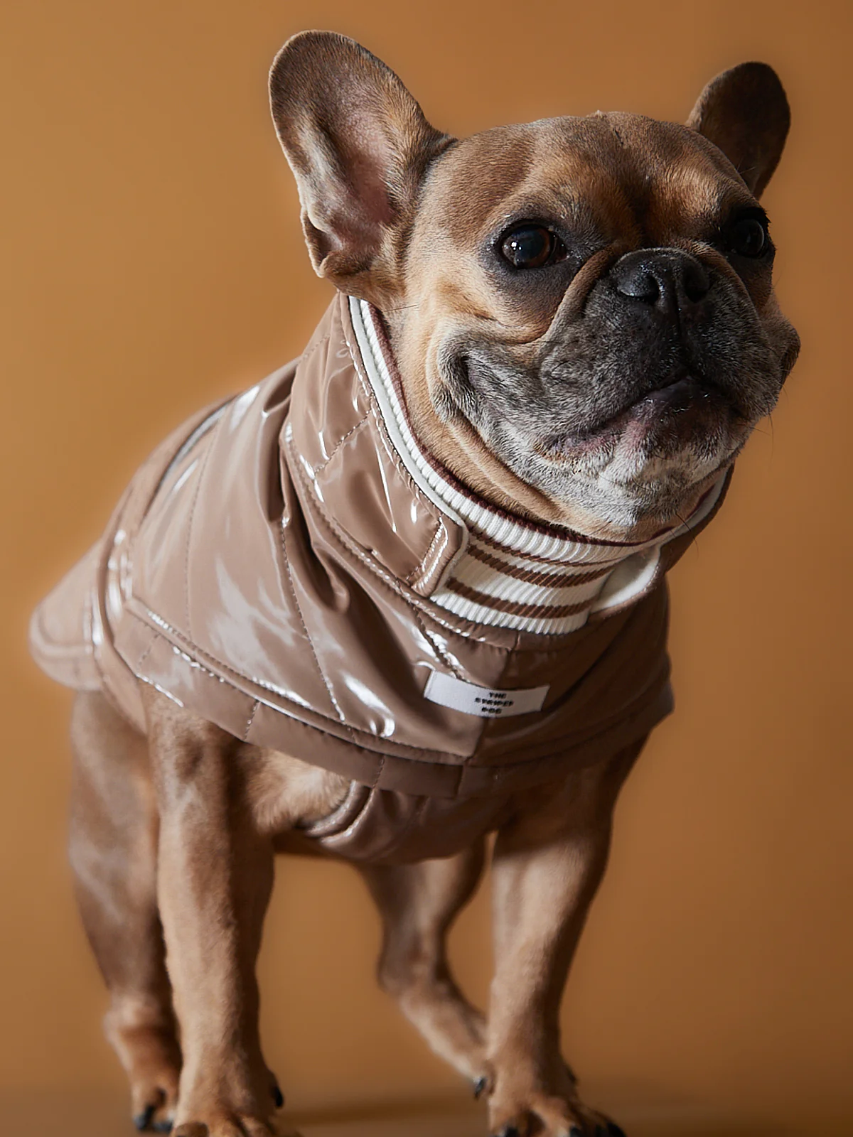 Taupe Waterproof Turtleneck Jacket RUE