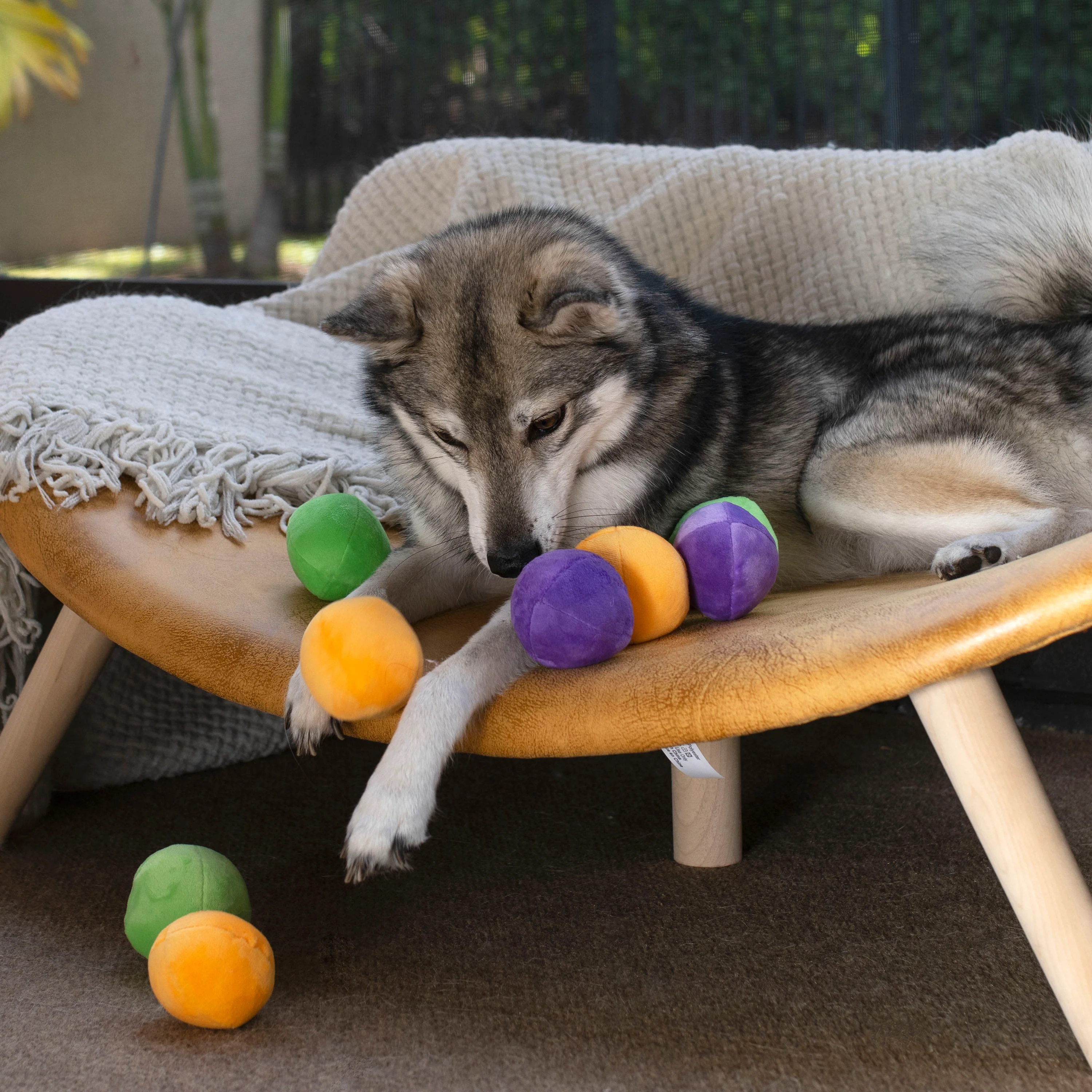 Midlee Squeaky and Crinkley Plush Dog Balls (Refill for Midlee Hide a Ball)