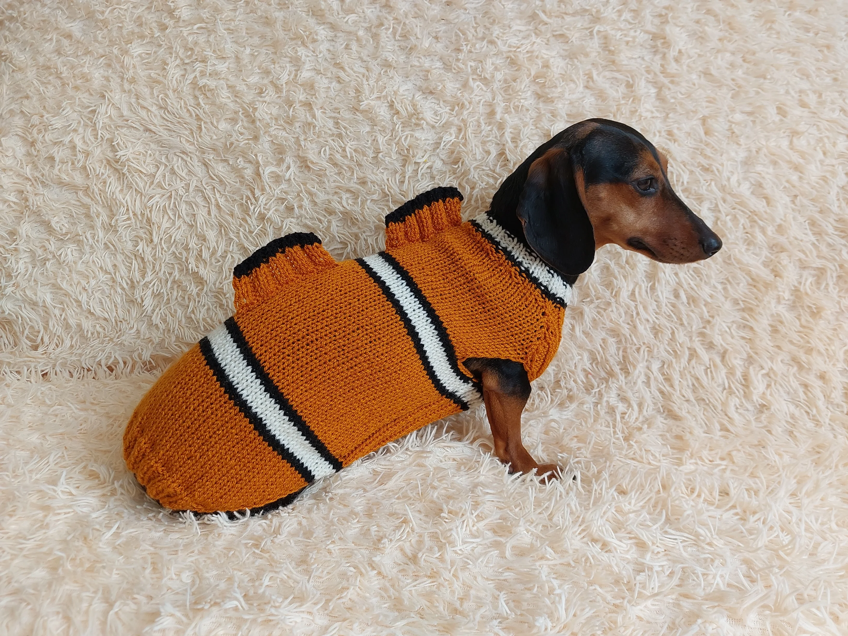 Fish costume for dog sweater, sweater fish for dogs, clothes for dogs marine style, dog jumper fish, fish costume for dachshund
