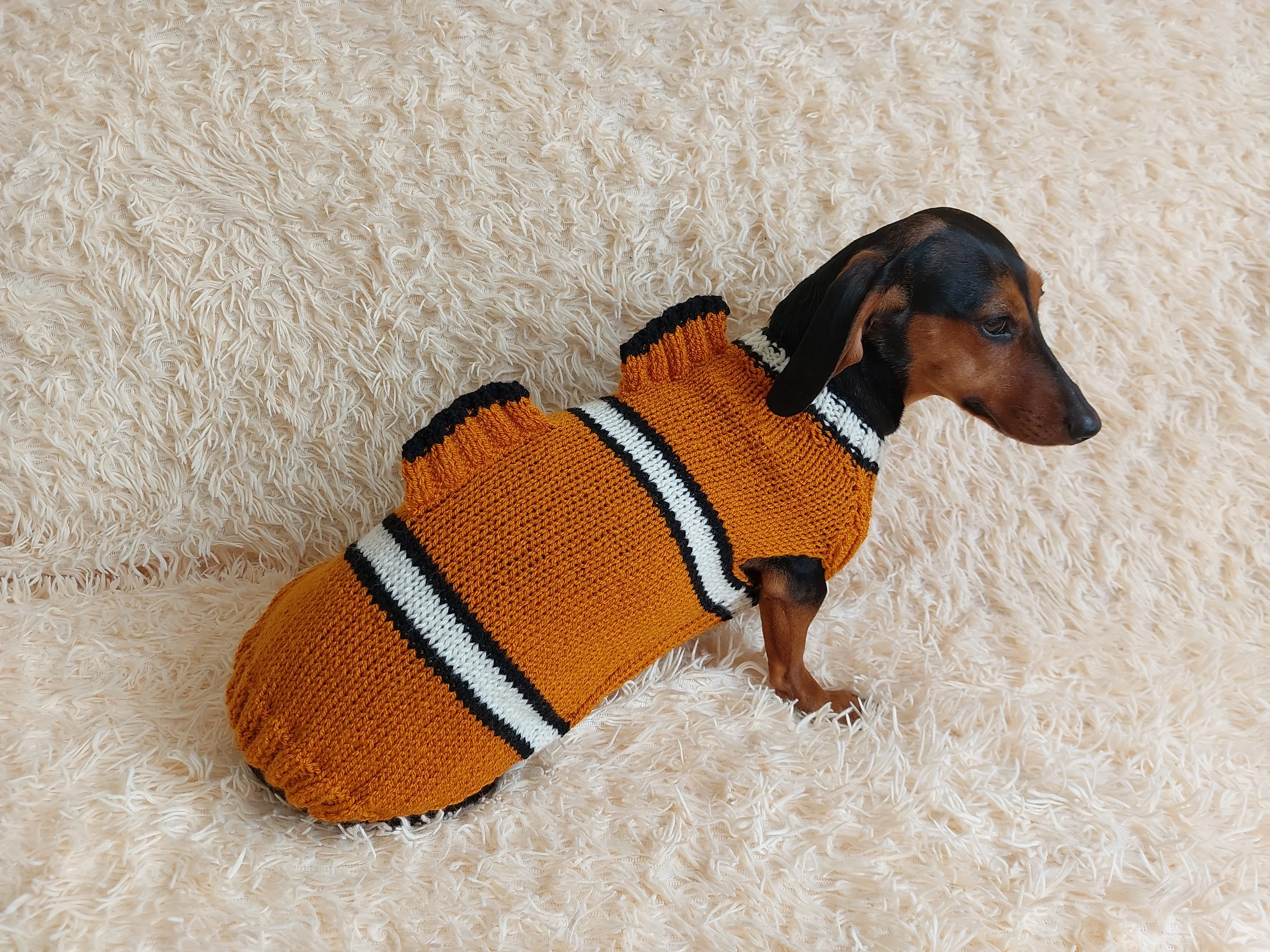 Fish costume for dog sweater, sweater fish for dogs, clothes for dogs marine style, dog jumper fish, fish costume for dachshund