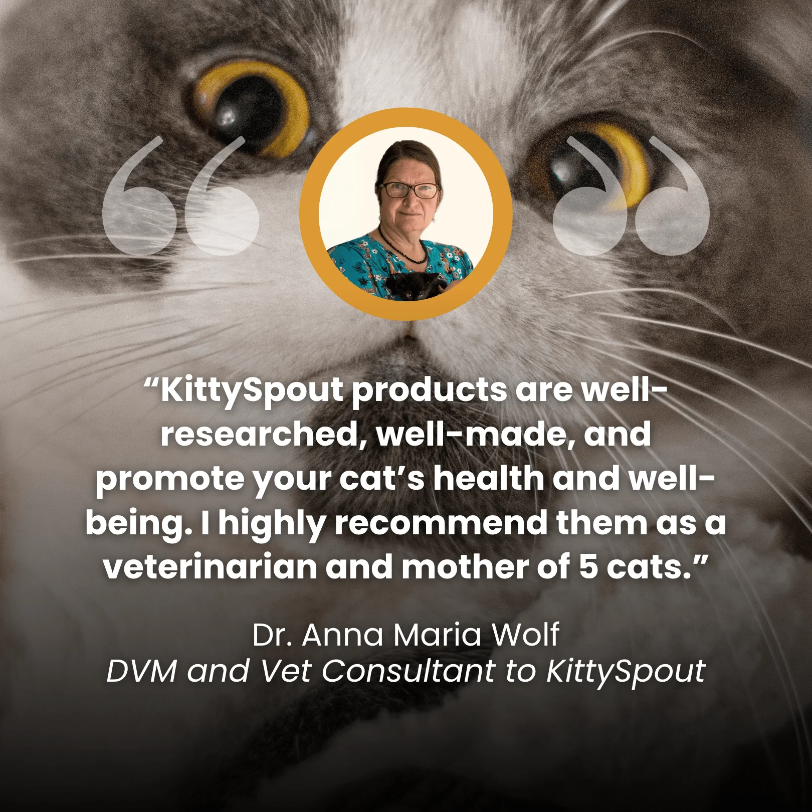 The KittySpout™ - Health & Happiness Cat Kit