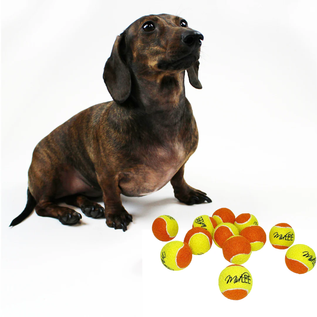 Midlee 2 Yellow/Orange Small Dog Tennis Balls (12-Pack)