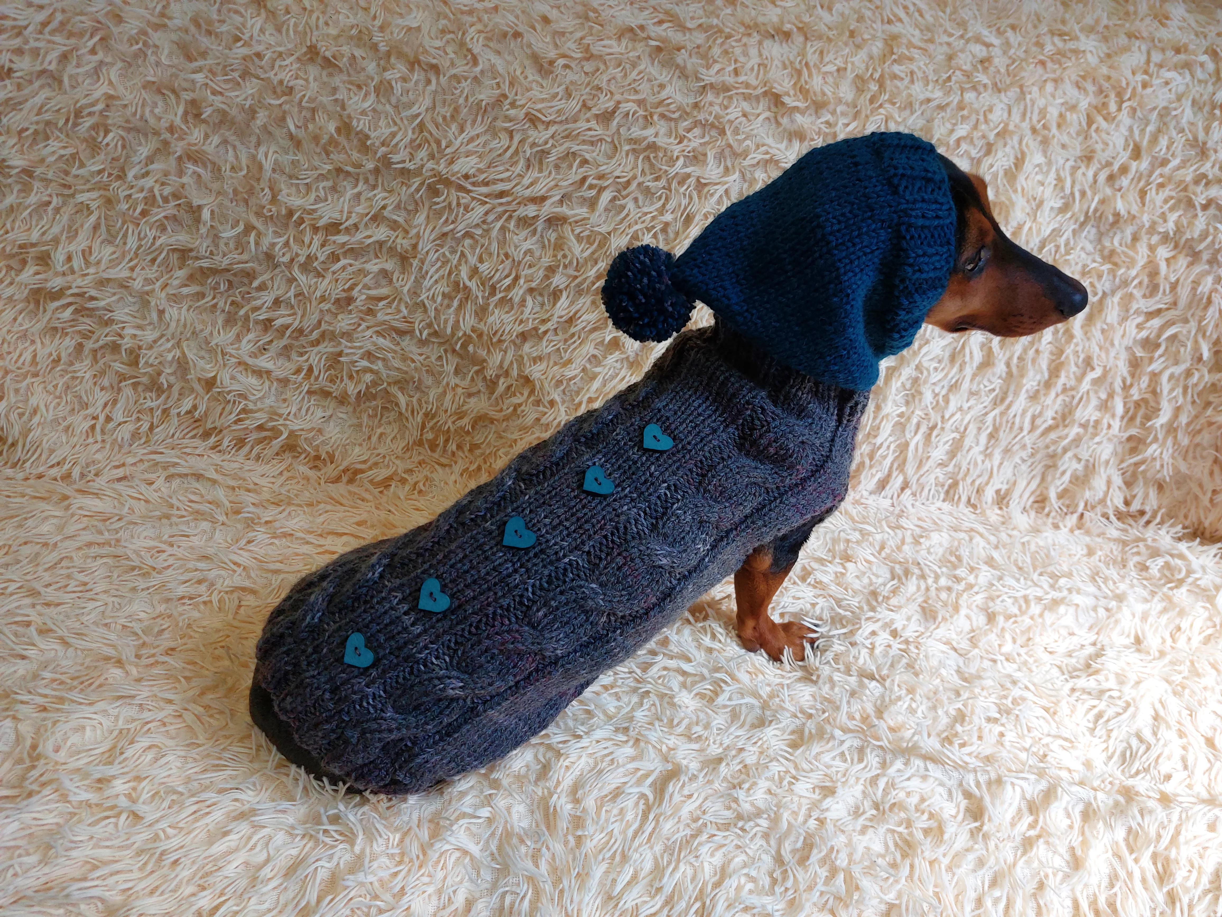 Pet clothes hoodie with hearts,Knitted hoodie for dog, hoodie for miniature dachshund
