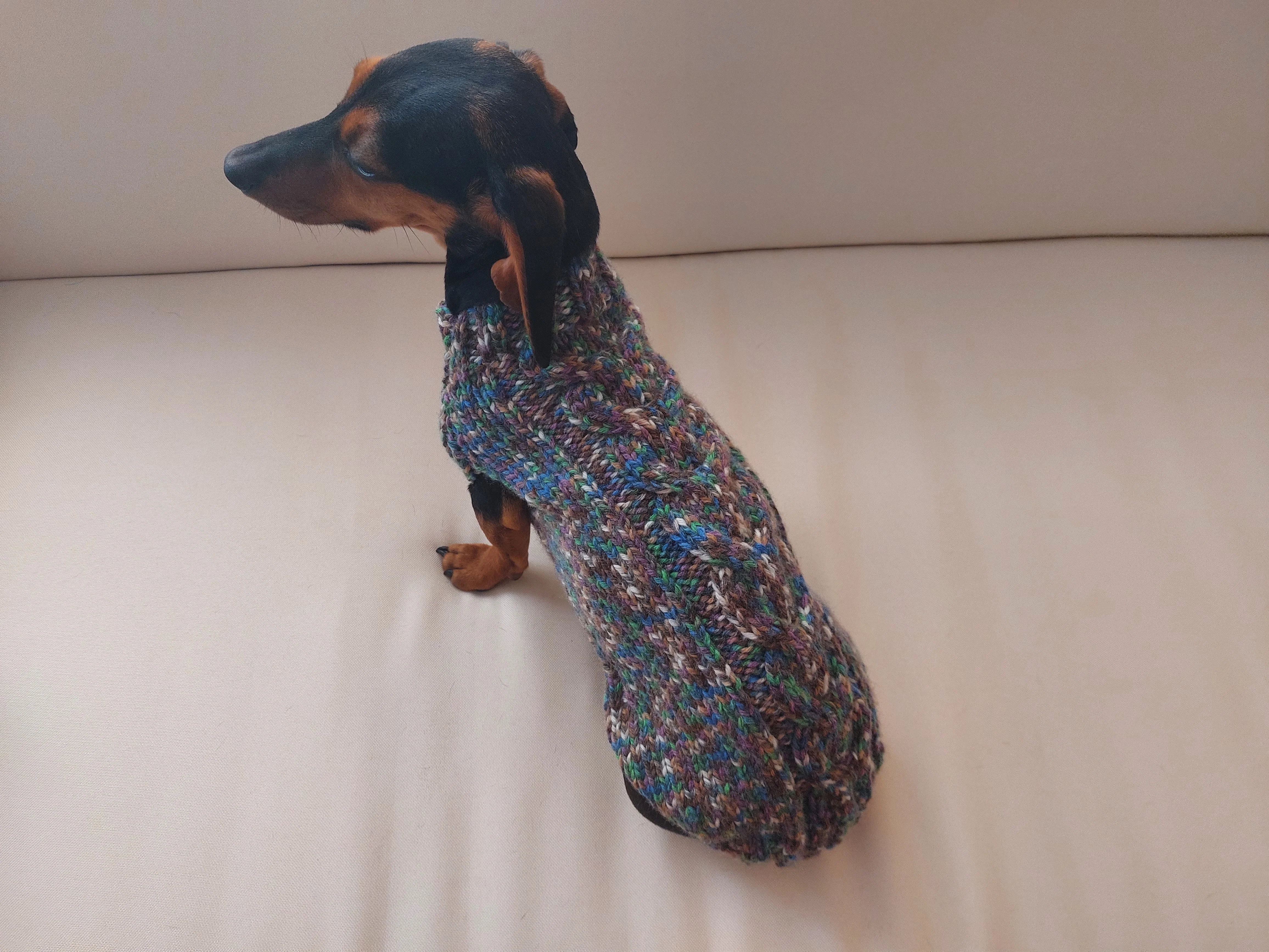 Wool dog jumper,dachshund cloches wool sweater