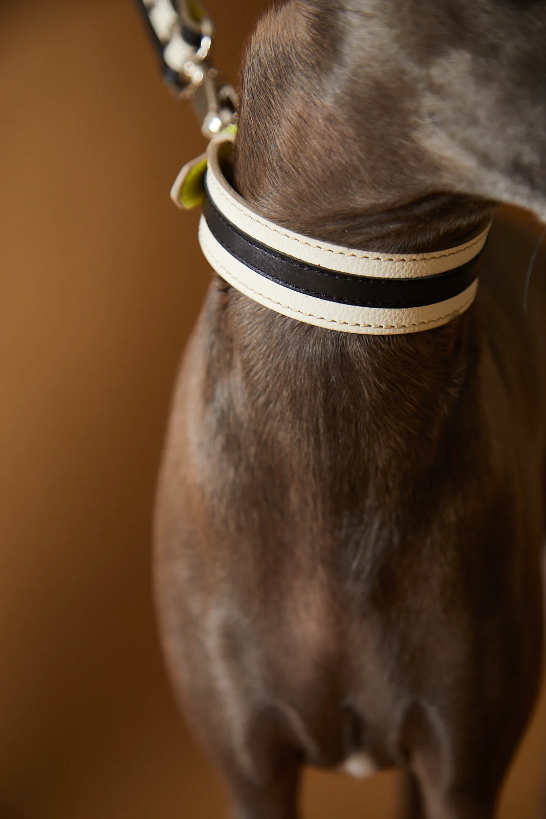 Leather Collar LUNE