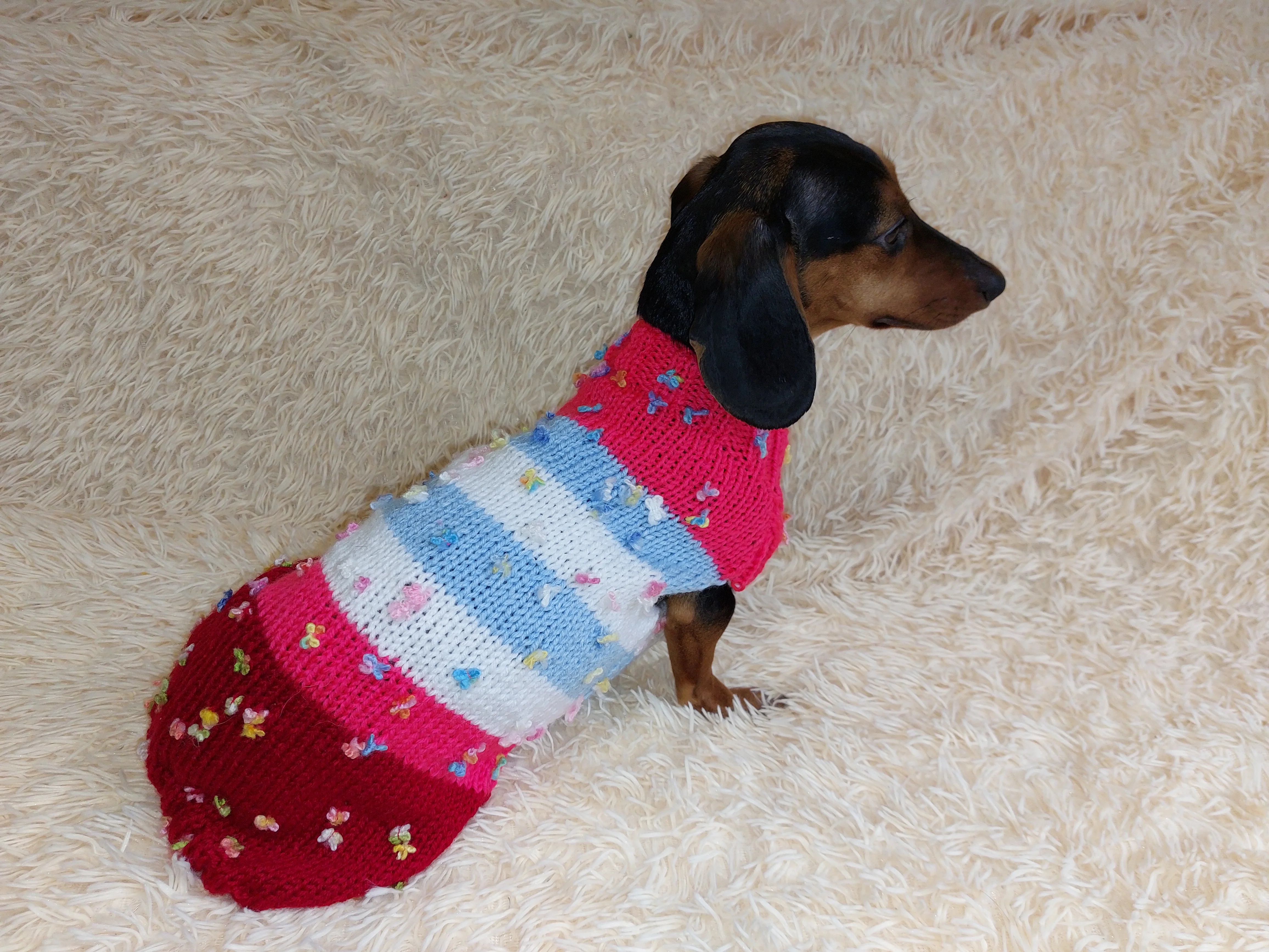 Striped floral bright outfit for a dog with flowers